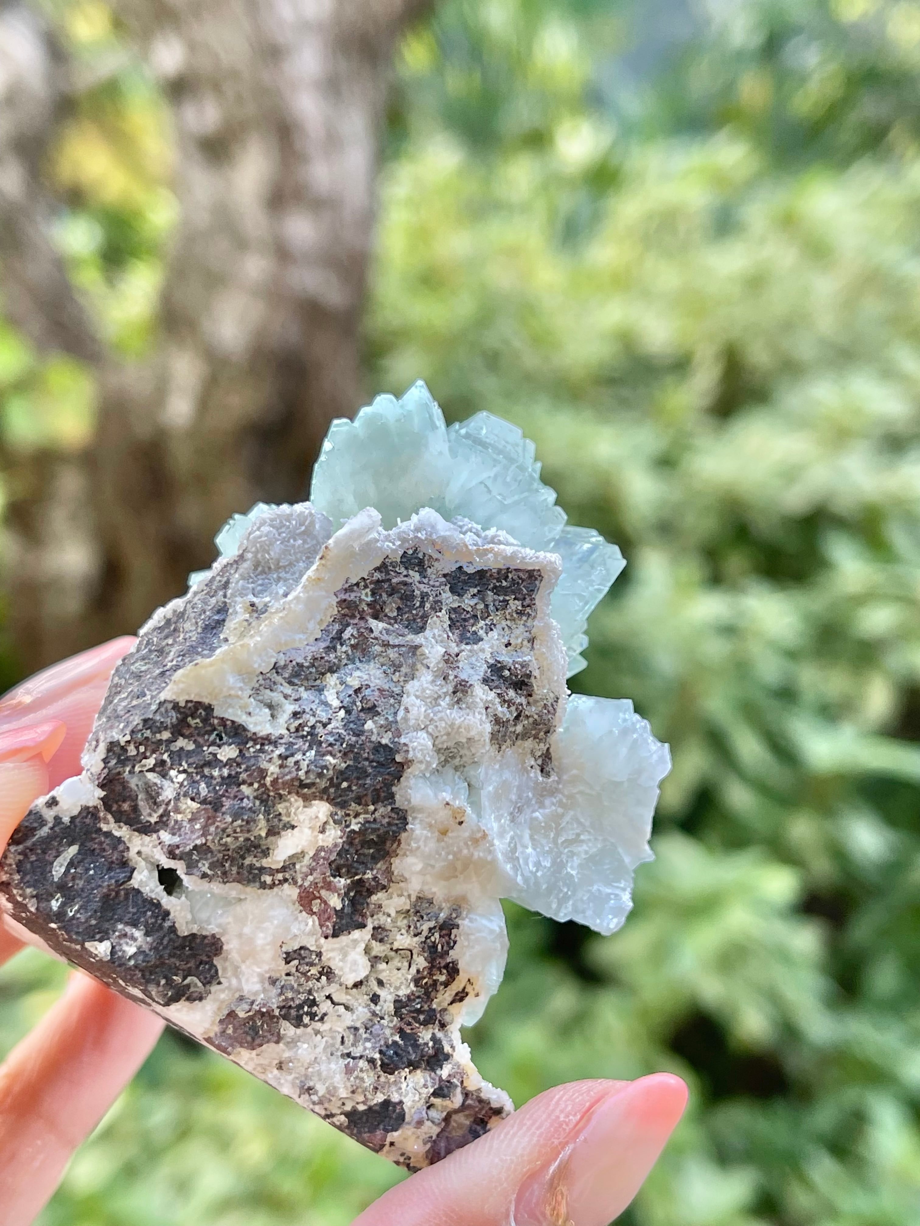 エクストラグレード　グリーンアポフィライト　No.03