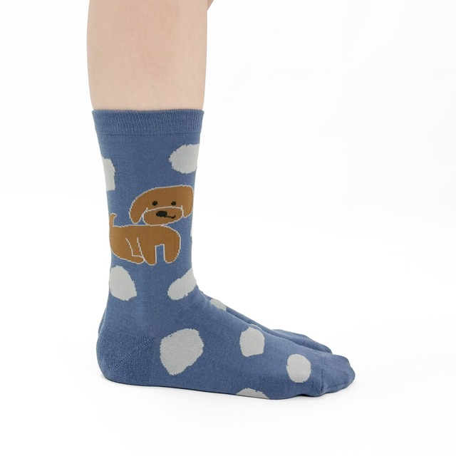 【JIN KITAMURA】北村人 SOCKS DOT POODLE ソックス ドット プードル