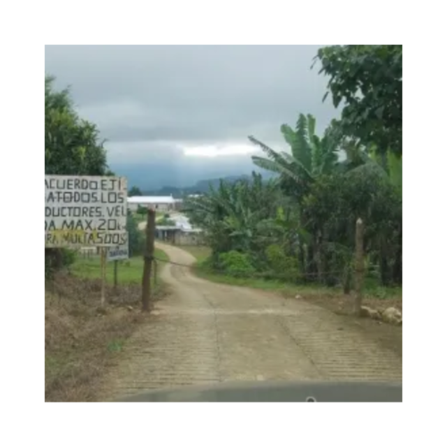 【デカフェ】螺旋の土　珈琲豆100g