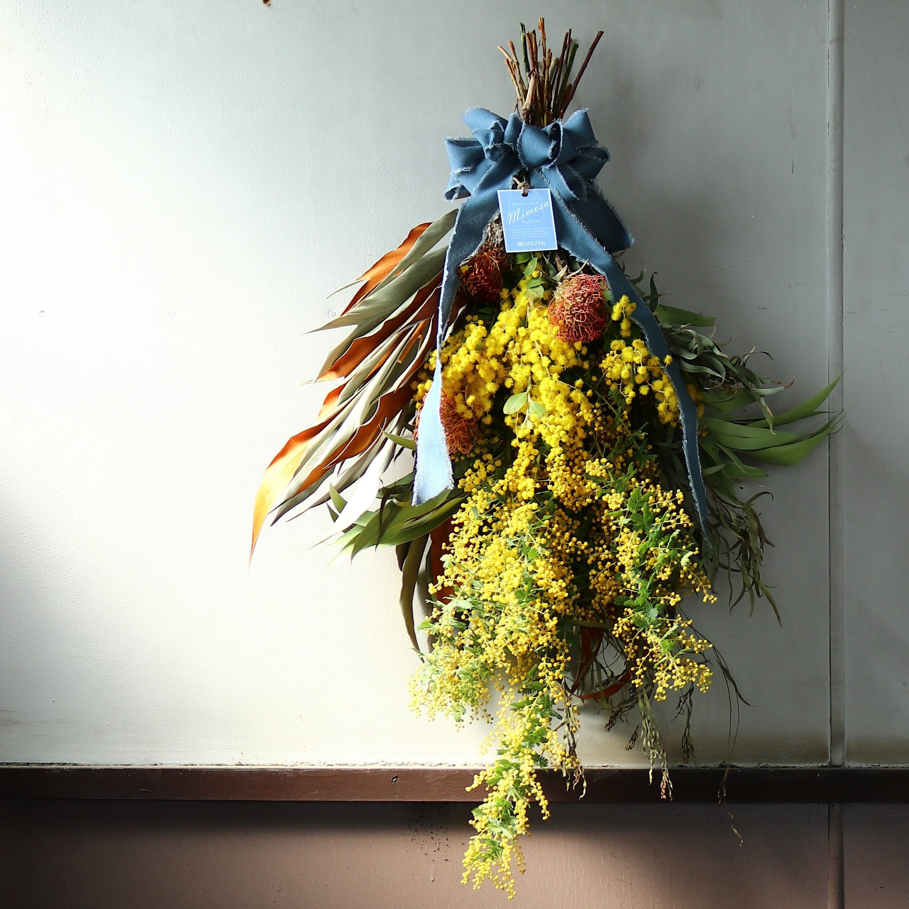 農家直送【フレッシュミモザ】80サイズ 【公式通販】