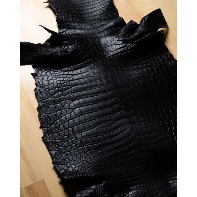 ナイルクロコダイルカスタム