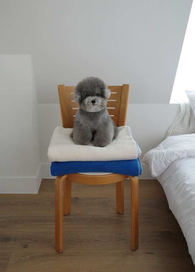 〈 予約アイテム 〉OHDIBS / winter stitch blanket Ver.2