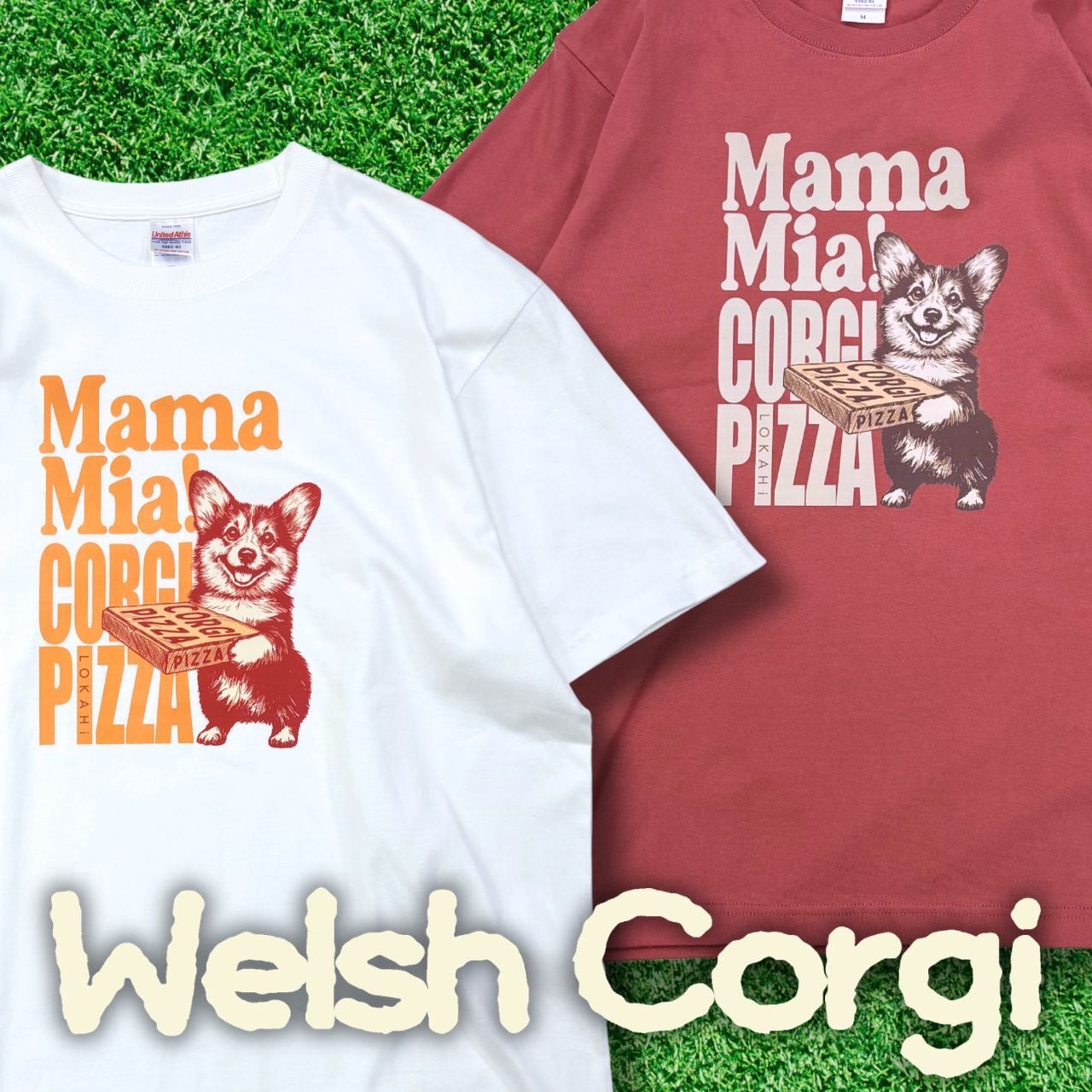 CORGI | LOKAHi