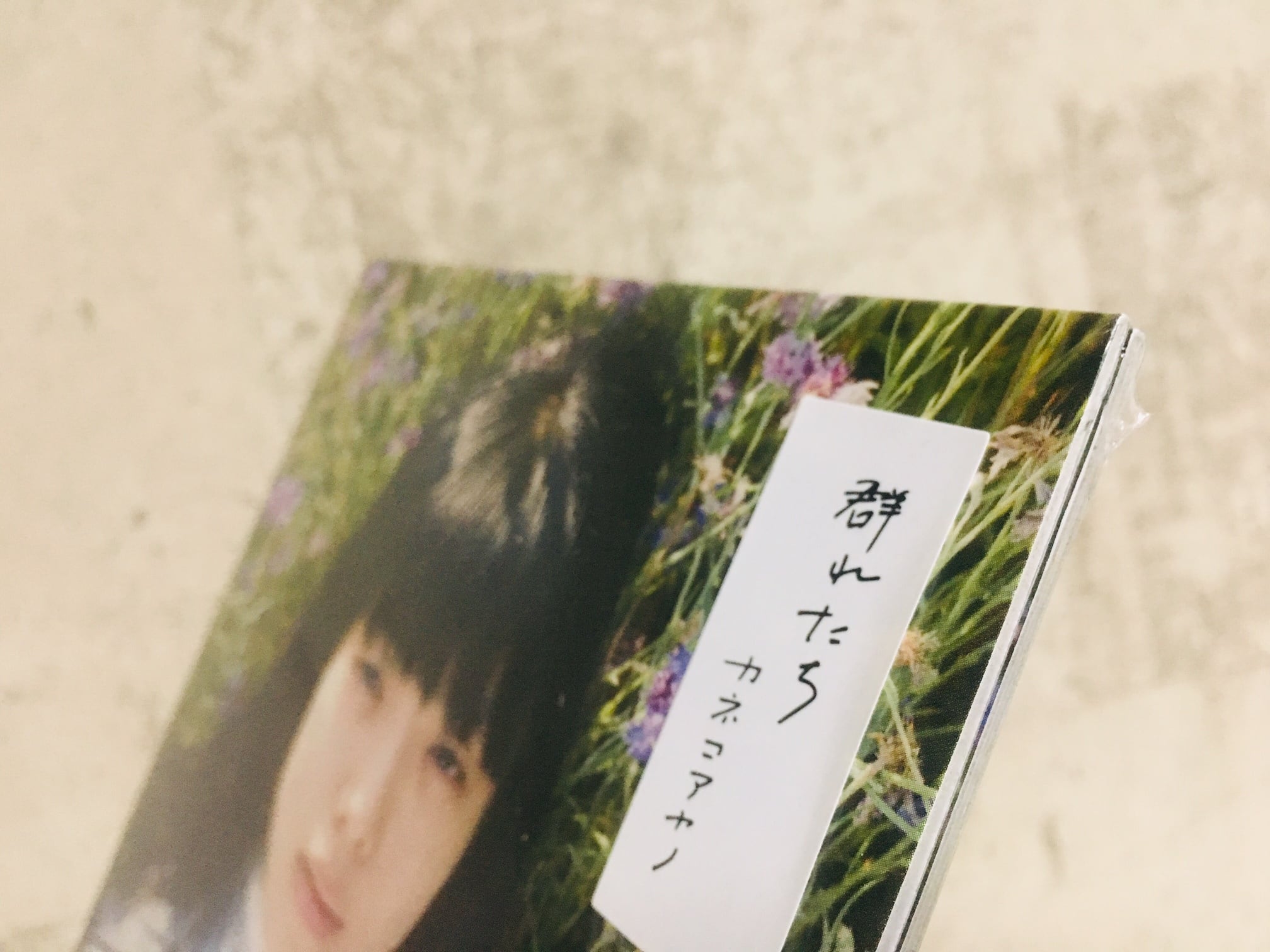 カネコアヤノ / 群れたち (CD） | HOLIDAY! RECORDS DISTRO