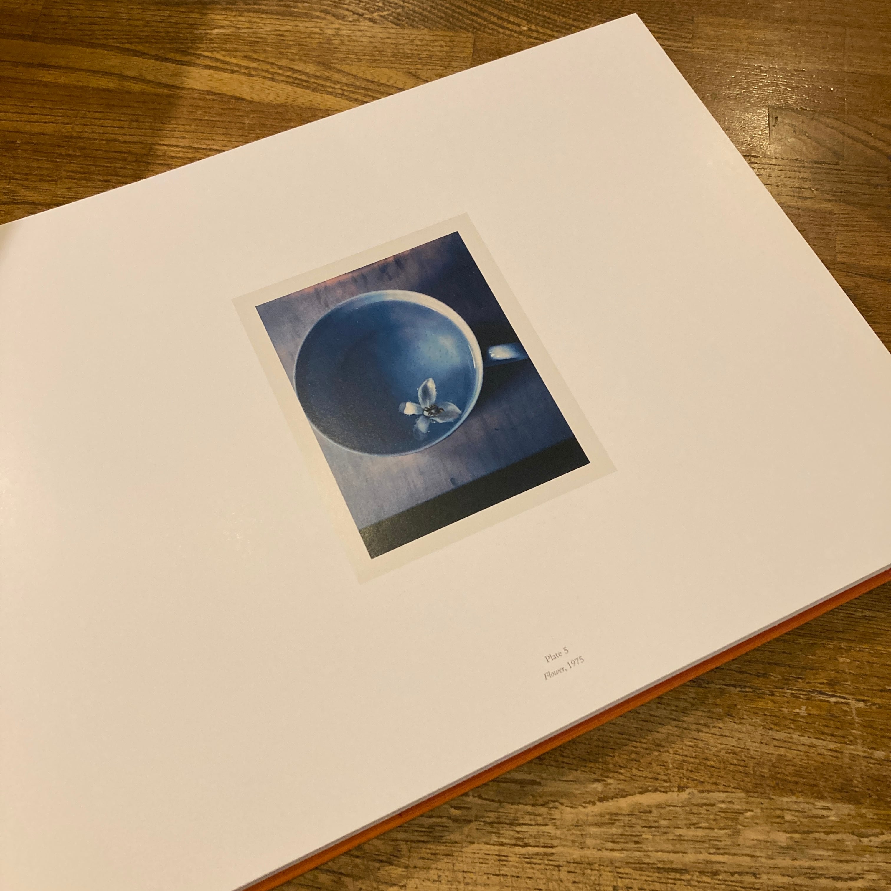 Mapplethorpe: The Complete Flowers / Robert Mapplethorpe（ロバート