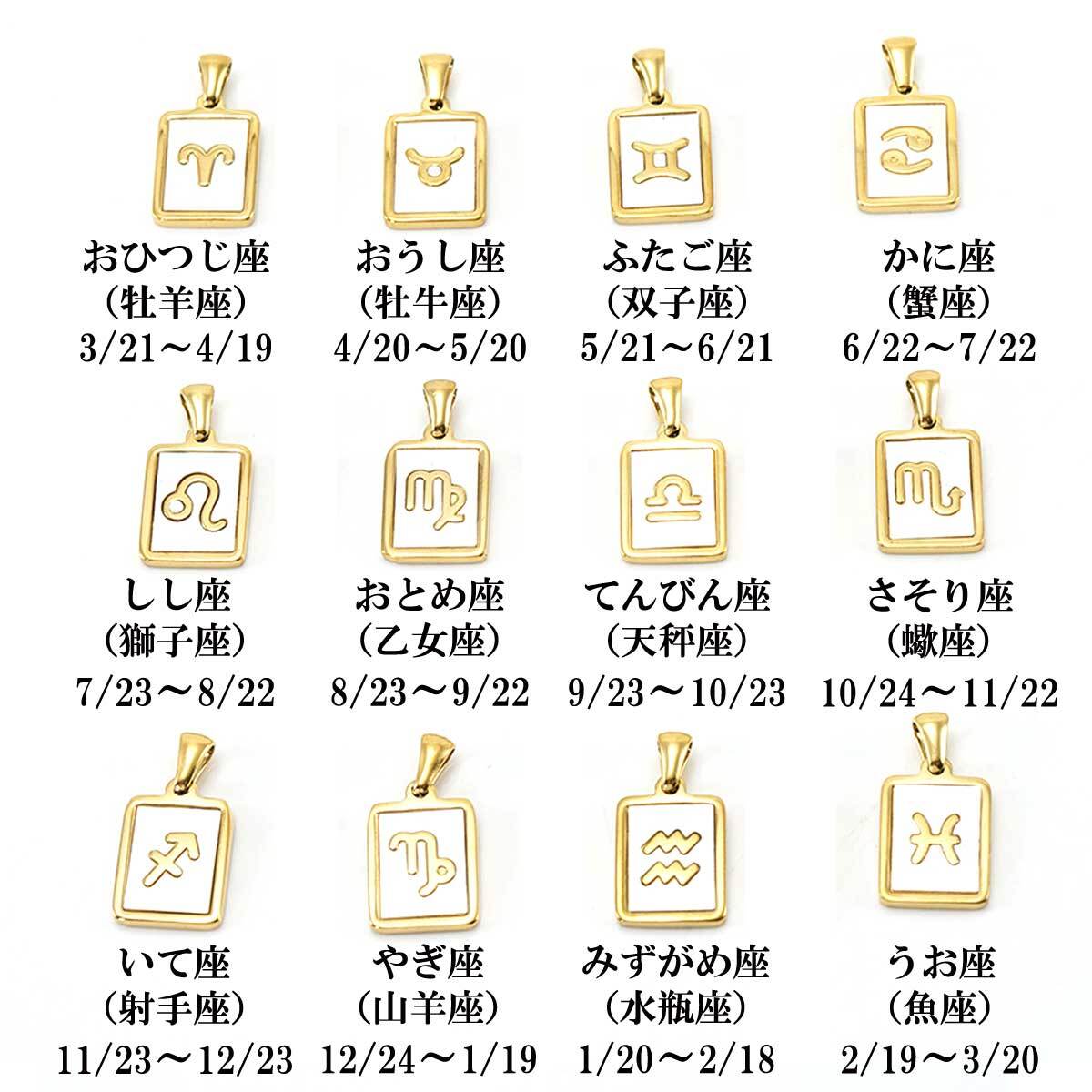 ネックレス レディース シンプル シェル プレート 星座 12星座ステンレス18kgpシェルプレートネックレス 大人可愛い オフィス 大ぶり カジュアル 45cm チェーン ステンレス ライン オーロラ カラー 18kgp 英語 マザーオブパール プレゼント ギフト 贈り物 ポーチ Overrag ネックレス レディース シンプル シェル プレート 星座 12星座ステンレス18kgpシェルプレートネックレス 大人可愛い オフィス 大ぶり カジュアル 45cm チェーン ステンレス ライン オーロラ カラー 18kgp 英語 マザーオブパール プレゼント ギフト 贈り物 ポーチ Overrag