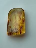 バルティックアンバー　　リトアニア　原石　～太陽のしずく～