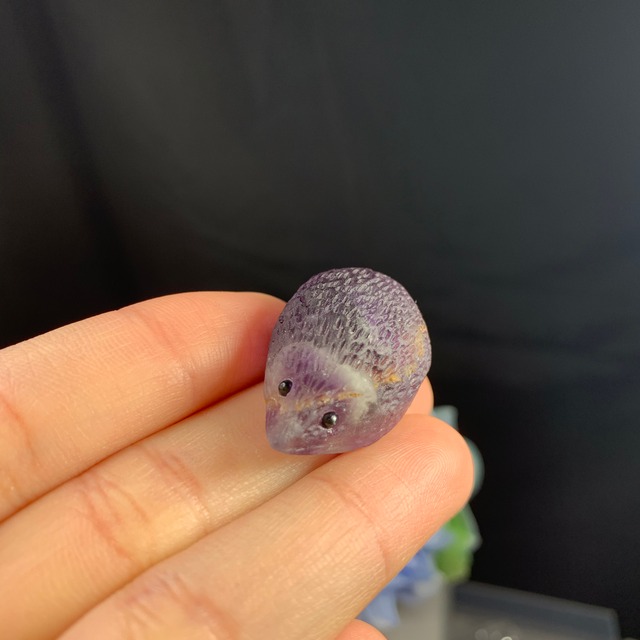 20ハリネズミフローライト