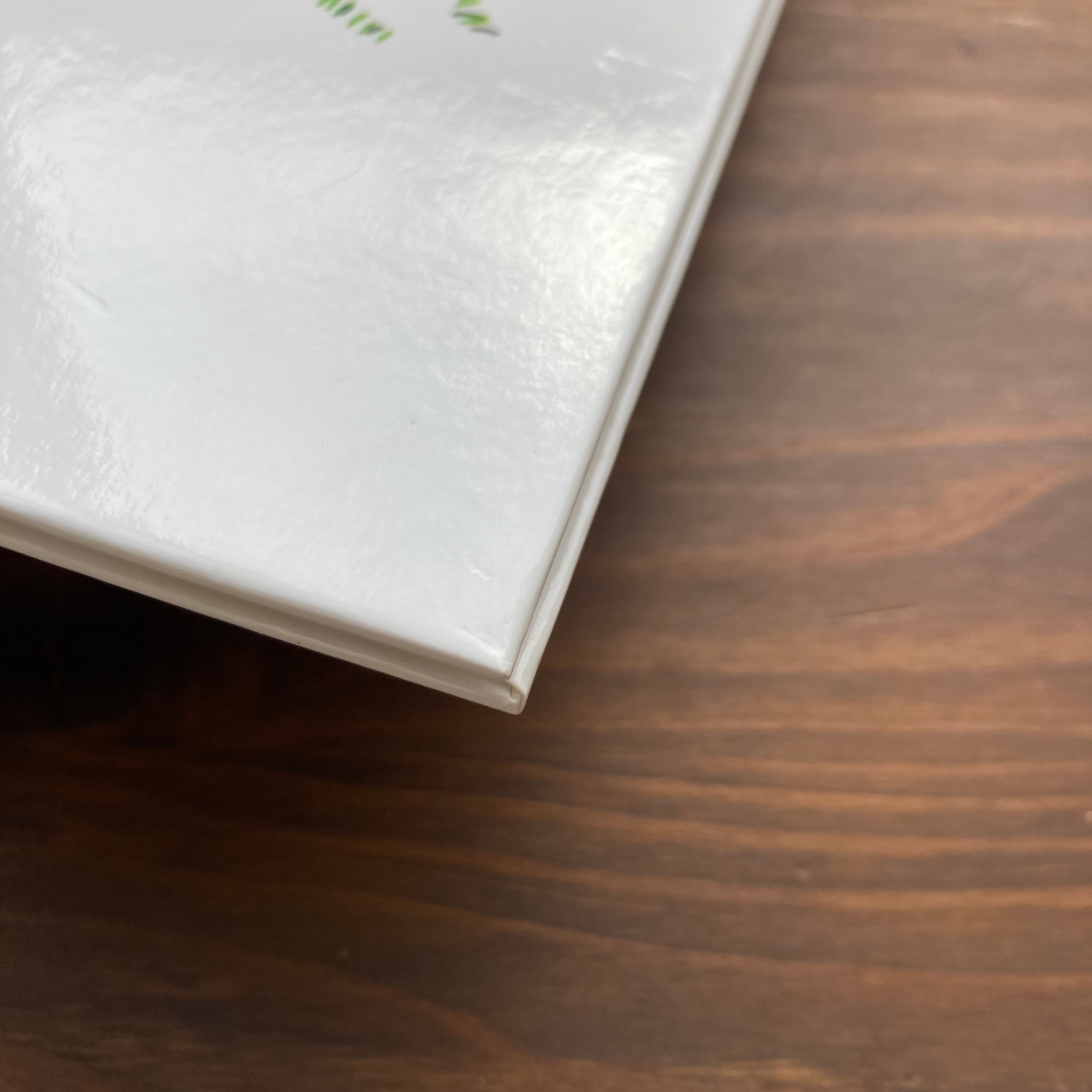 そらいろのたね＆The Sky Blue Seed 2冊セット | 風文庫 kazebunko