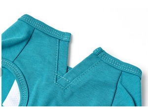 犬服　ICEライフイズタンク [サイズ: 8号] [カラー: ターコイズ]