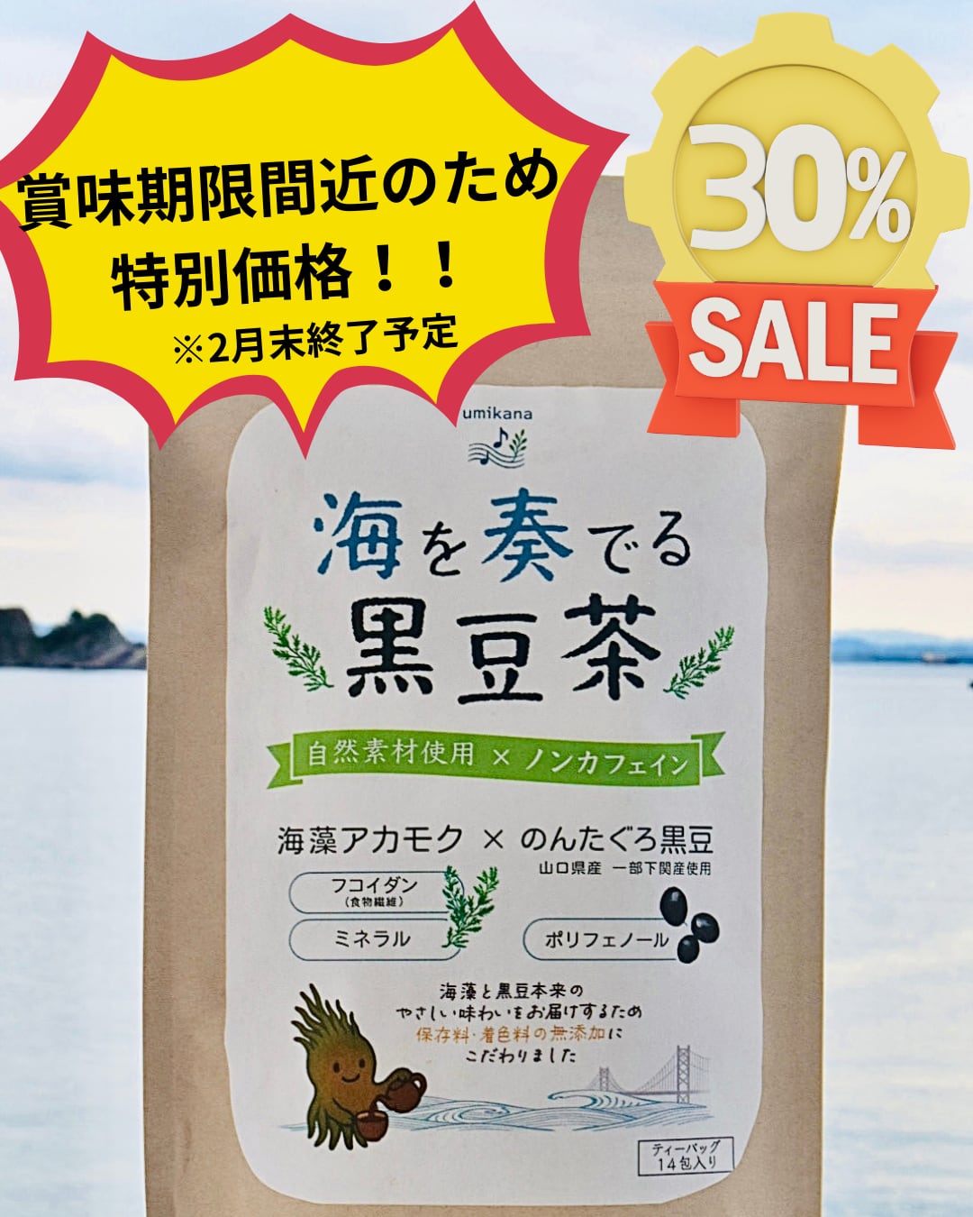 賞味期限間近‼️》海を奏でる黒豆茶 (14包入) | umikana