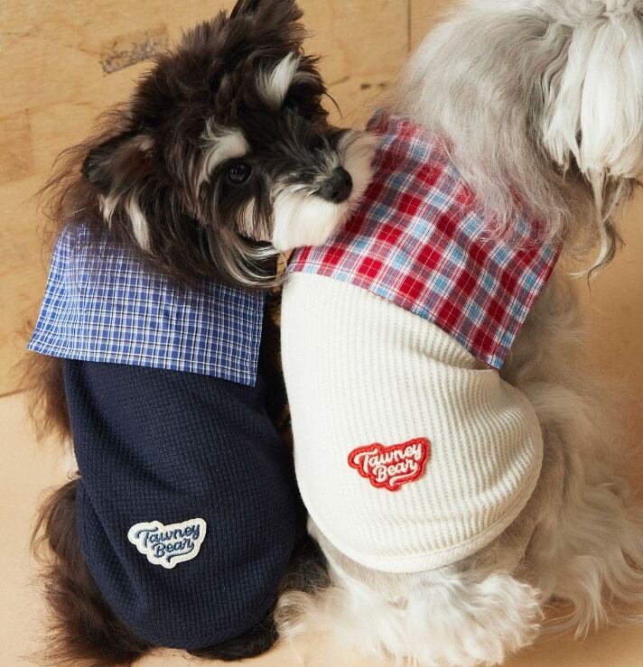 《予約》1103174 チェック襟トップス