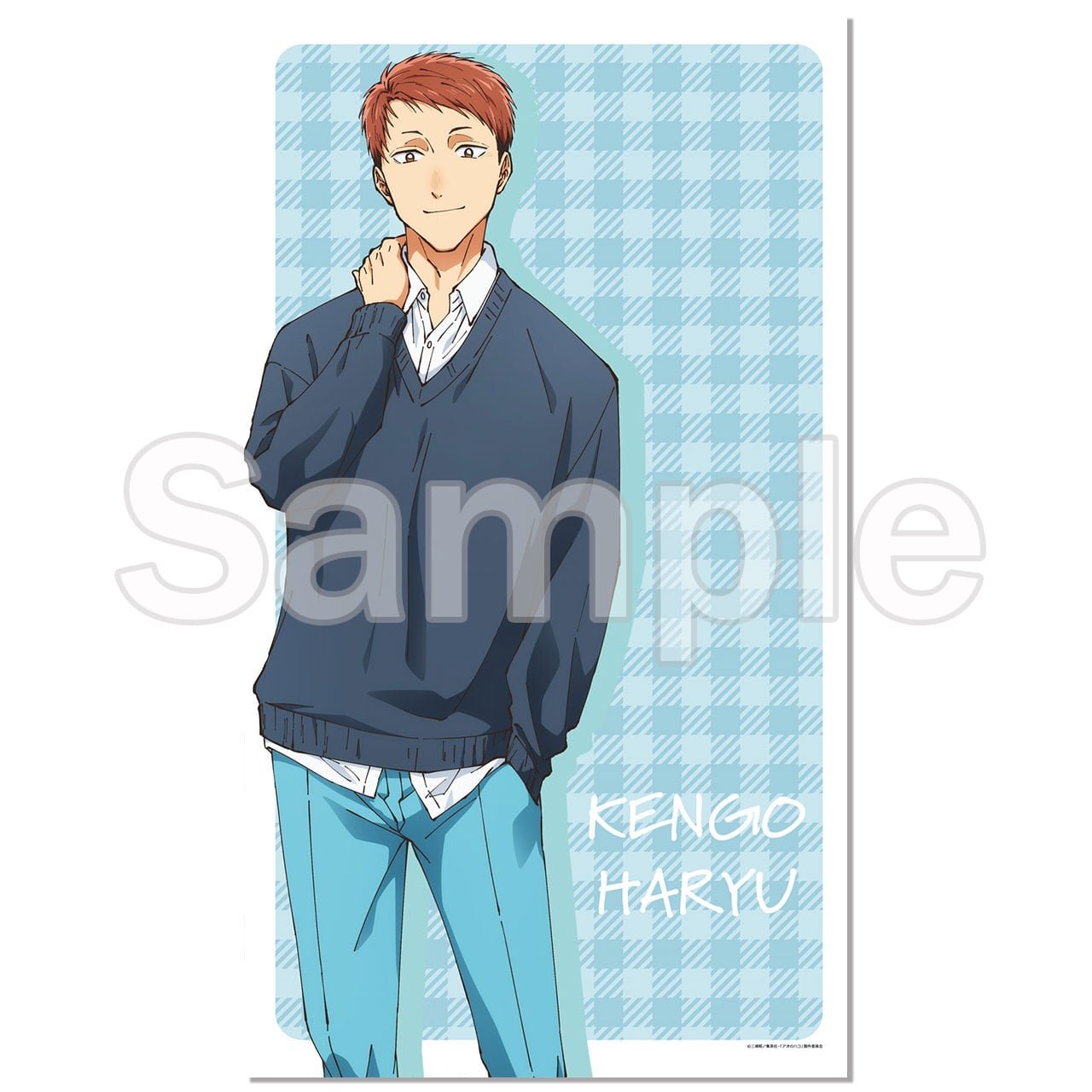 4571576720624受注生産】アオのハコ マルチタペストリーのれん