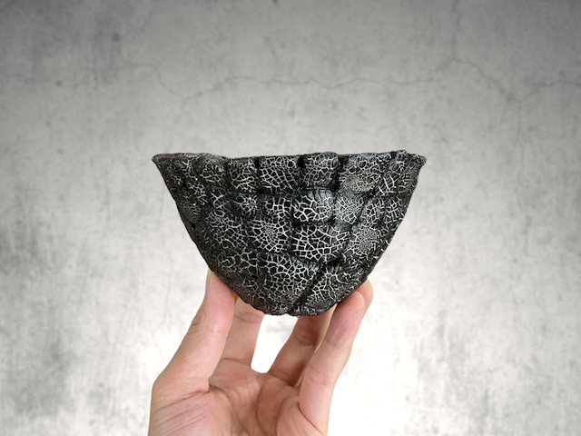 F.E.P. (Five Elements Plants)