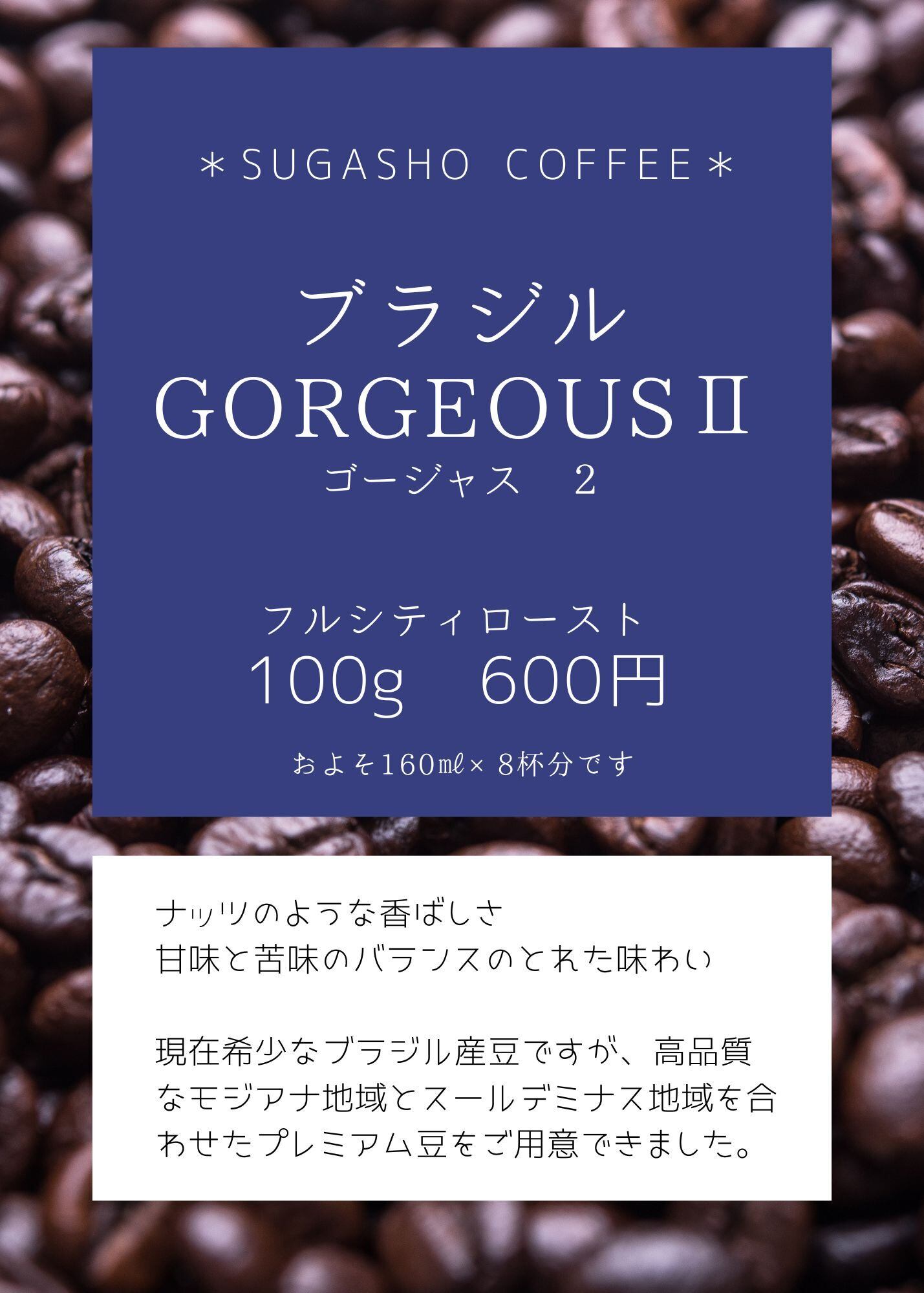 コーヒー生豆】エチオピア産 有機JAS認証 イルガチェフェ G-4 1kg | PAY ID
