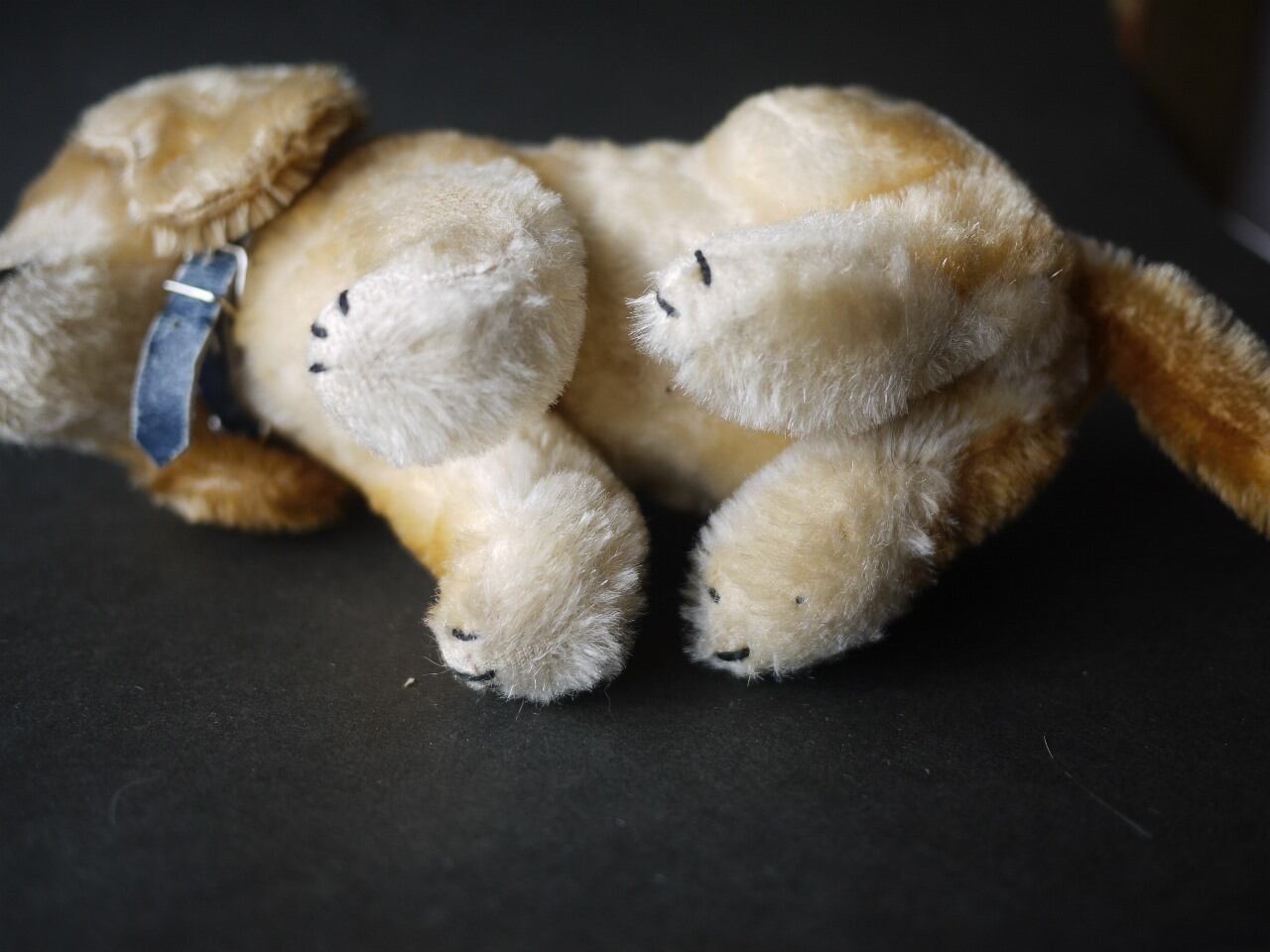 シュタイフ Bazi ダックスフント ドイツ STEIFF | こりすのパン屋Base