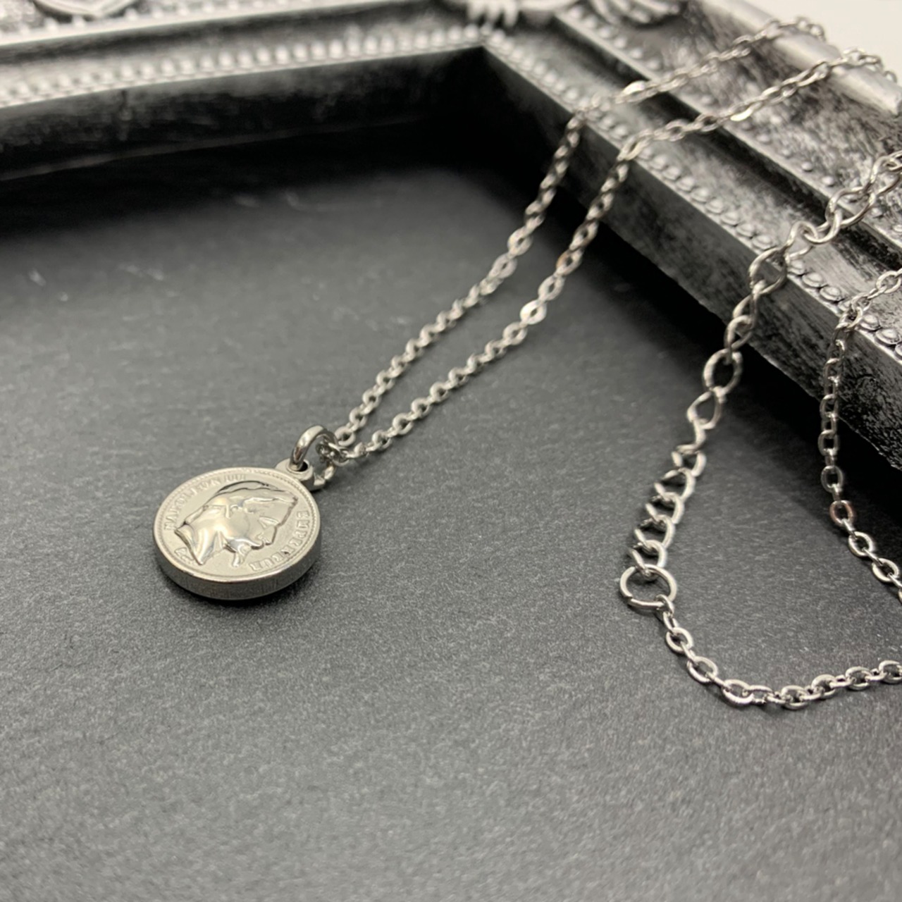 ステンレスリバーシブルプチコインネックレス