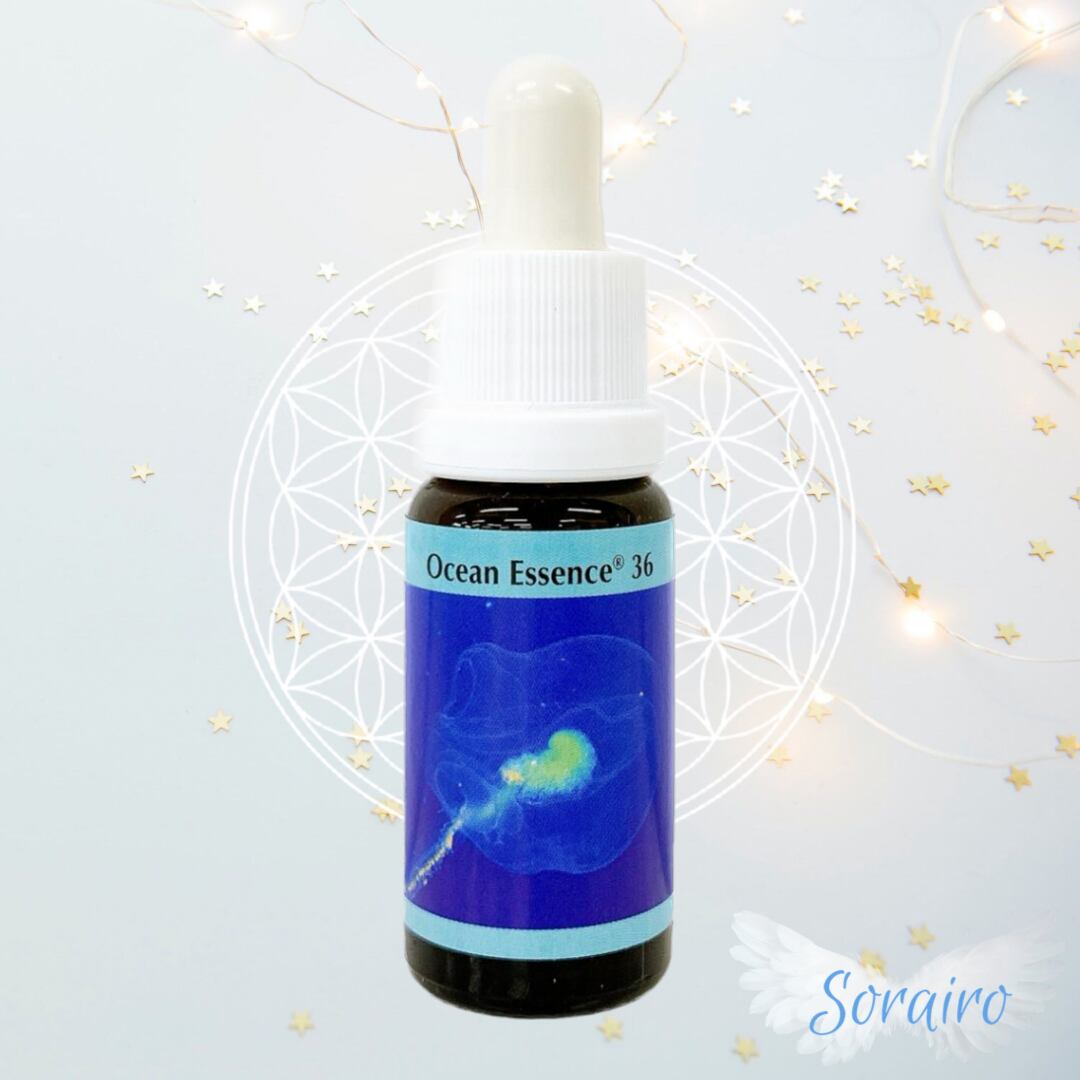オーシャンエッセンス No.36 PHIコルテ | Sorairo☀️Venus light