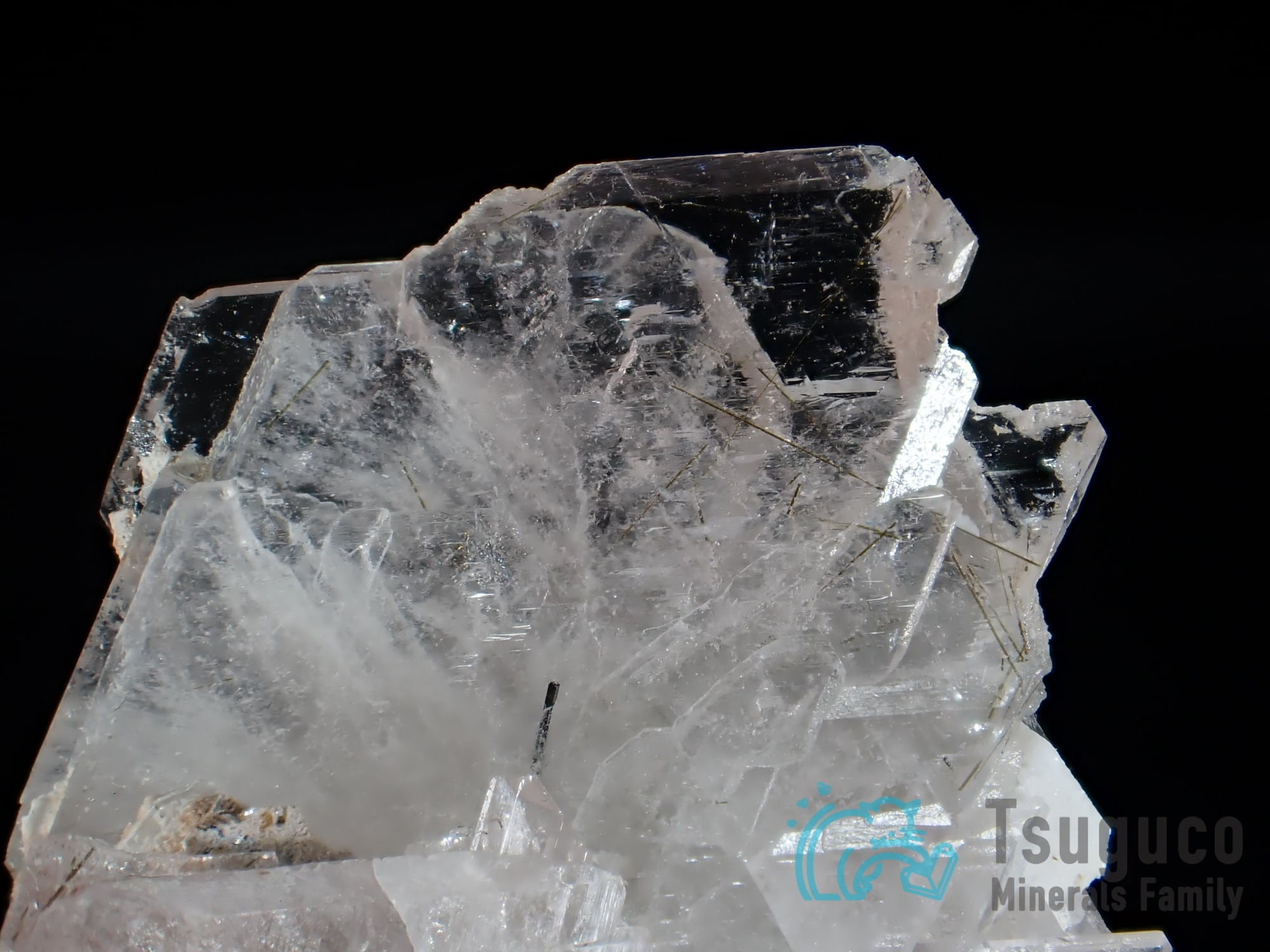 b5eac31667b5c66e387fd744af7bd3