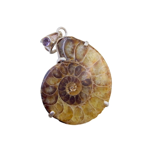 アンモナイト ペンダントトップ NSBN-011③