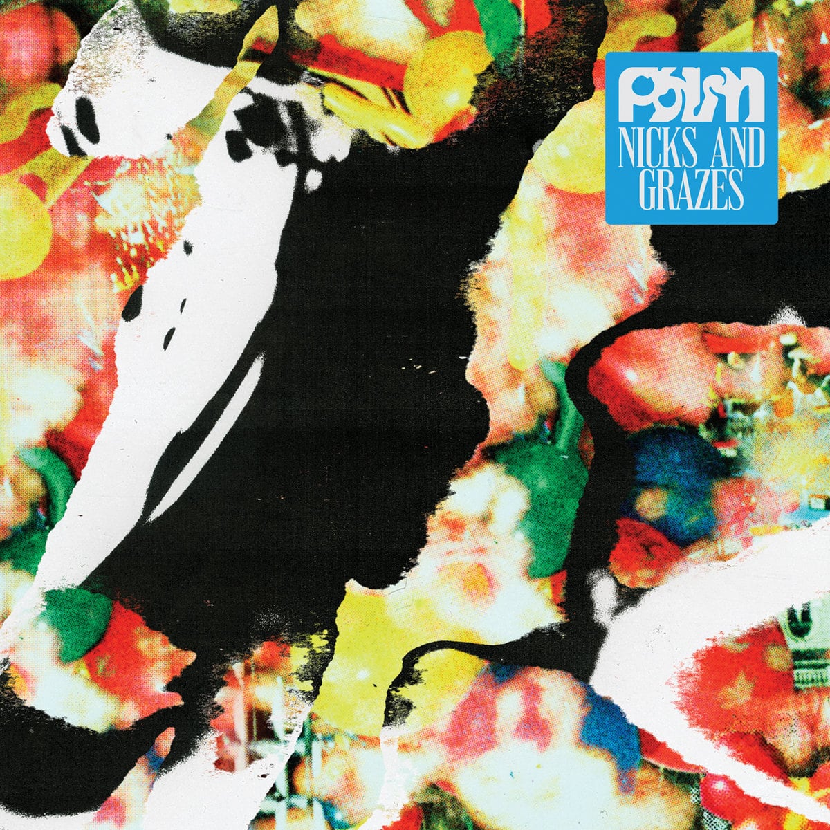 Palm / Nicks and Grazes（Ltd Oragne LP）