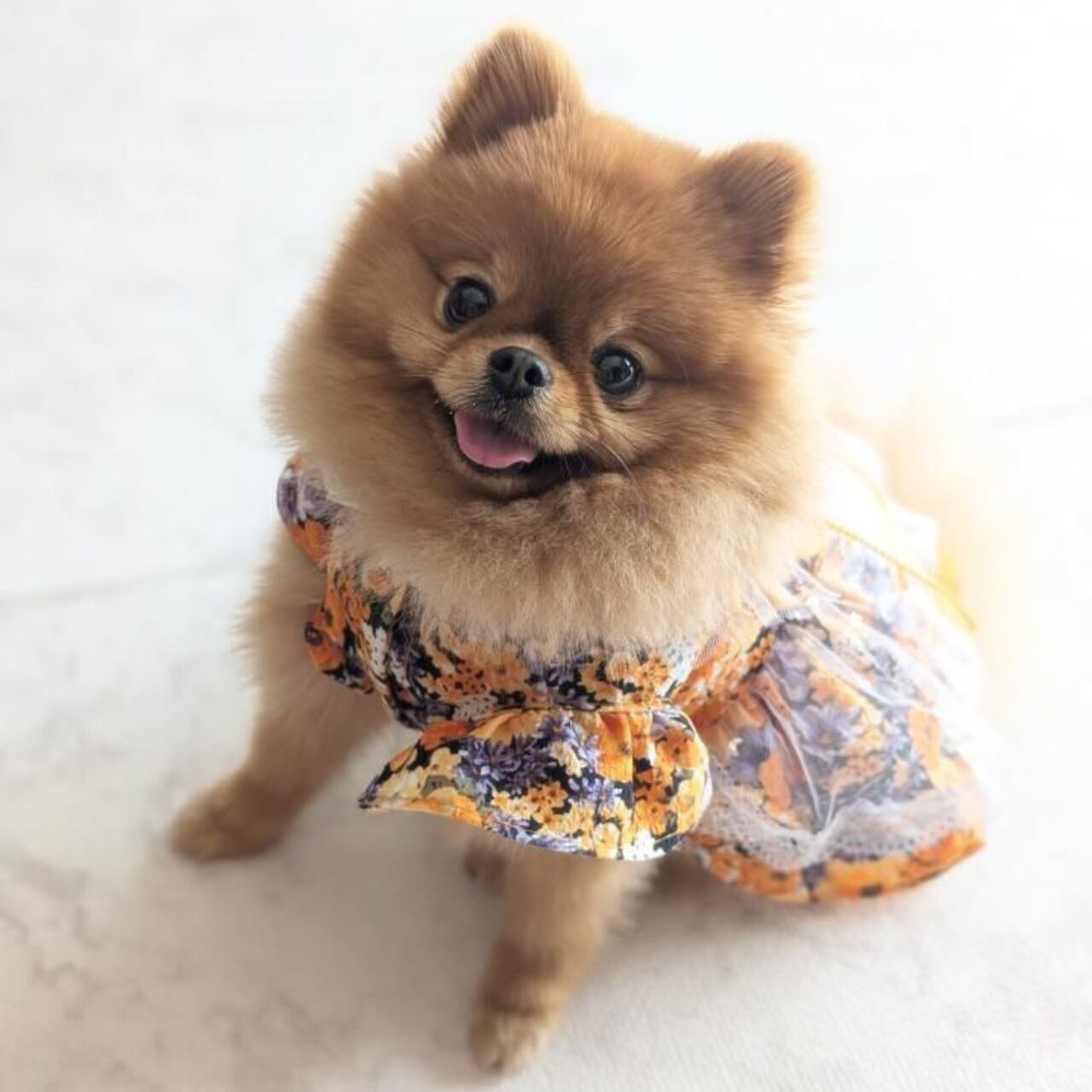 オレンジブロッサムスカート♡0186