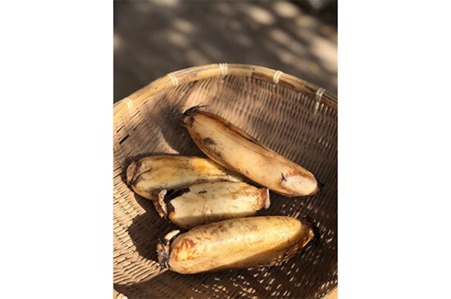 門真れんこん(京都府産)・200g