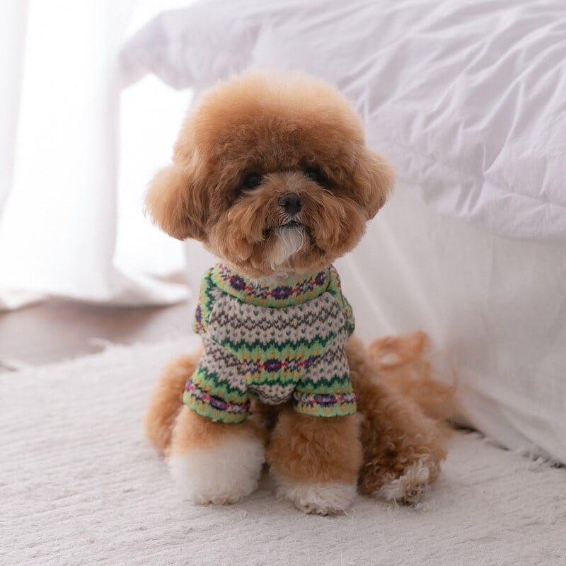 犬服ハンドメイド♡マーブル☆ marble