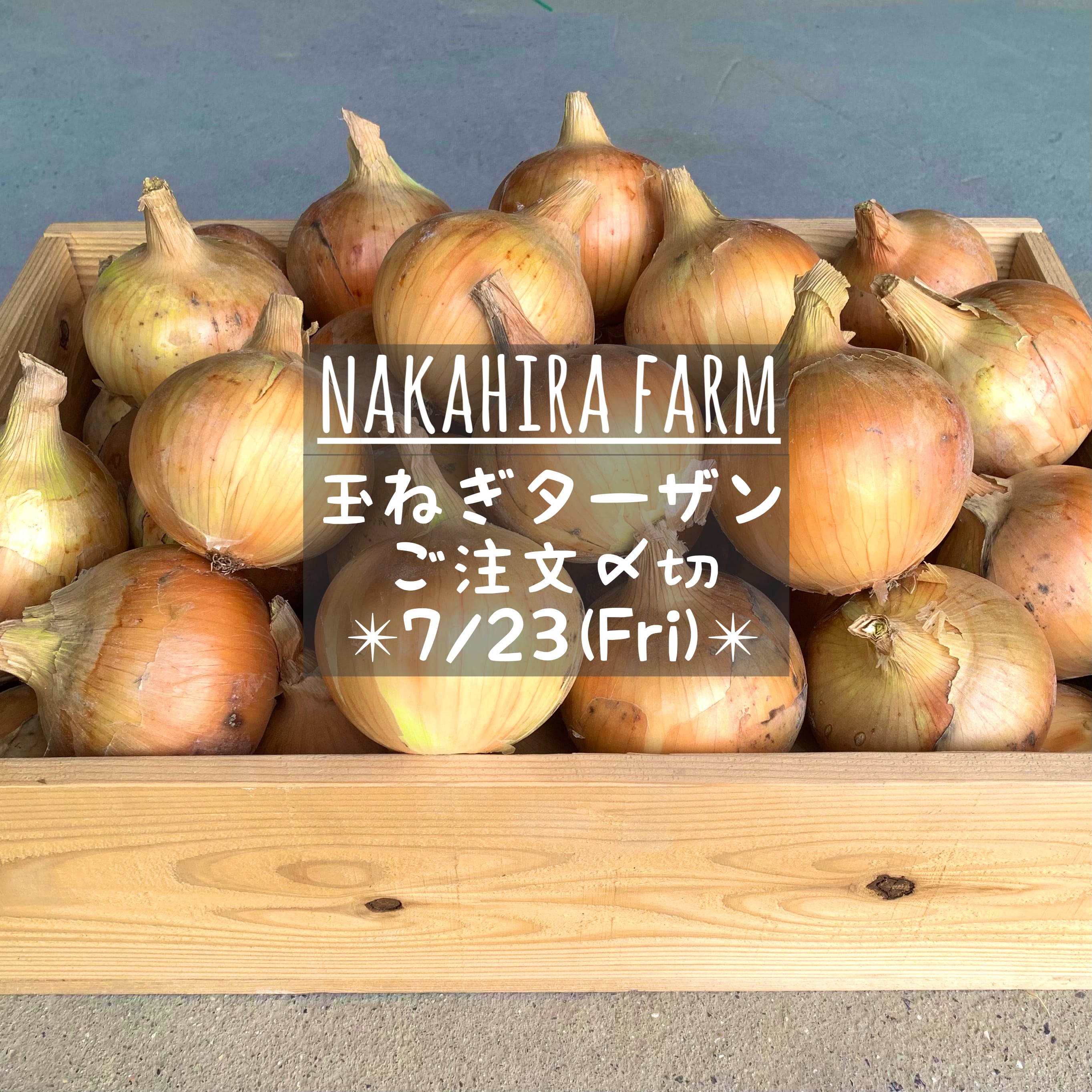 7/23（金）で販売終了です！】nakahira farm 淡路島 減農薬 玉ねぎ