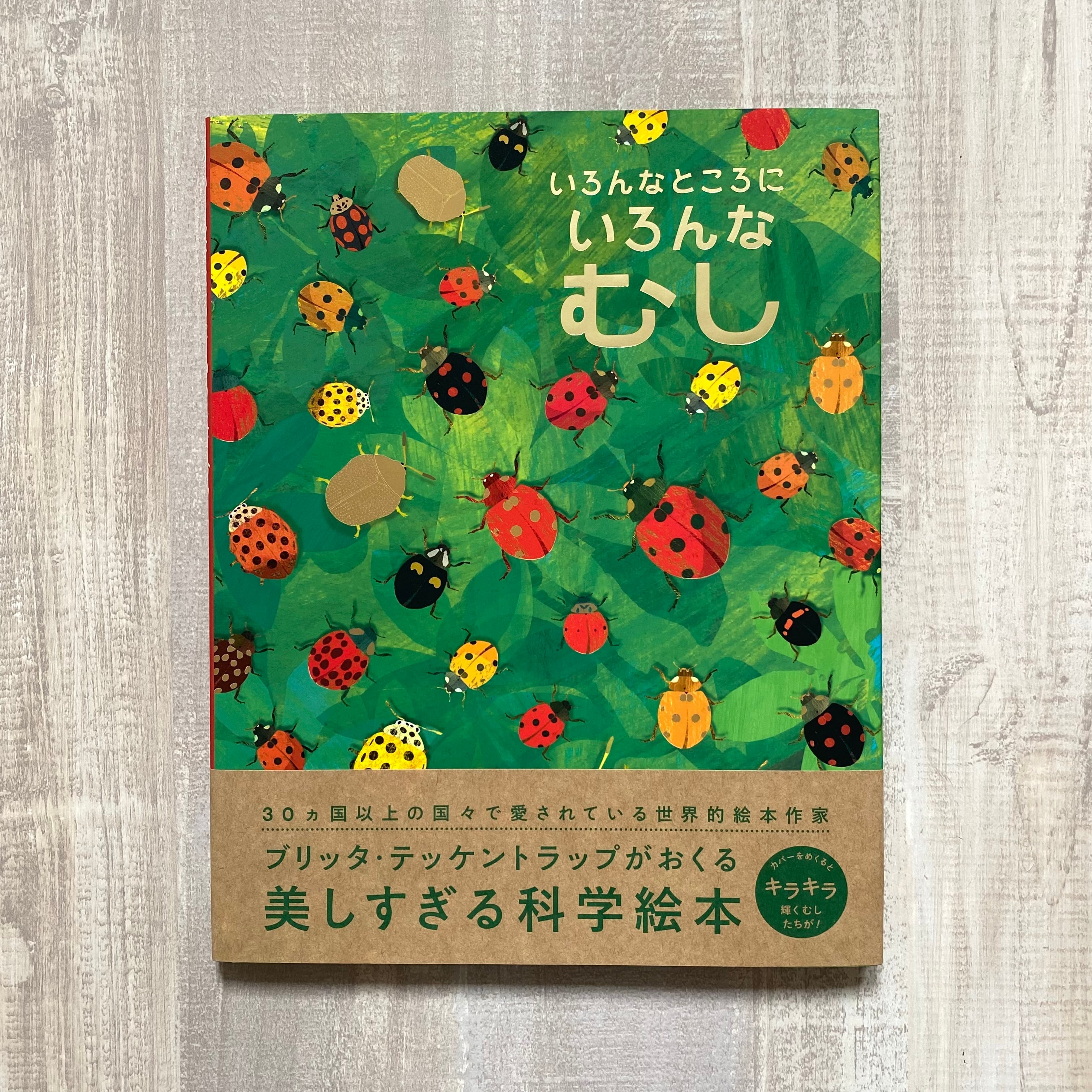 だいじょうぶ、ここにいるよ | いつかちいさな絵本やさん