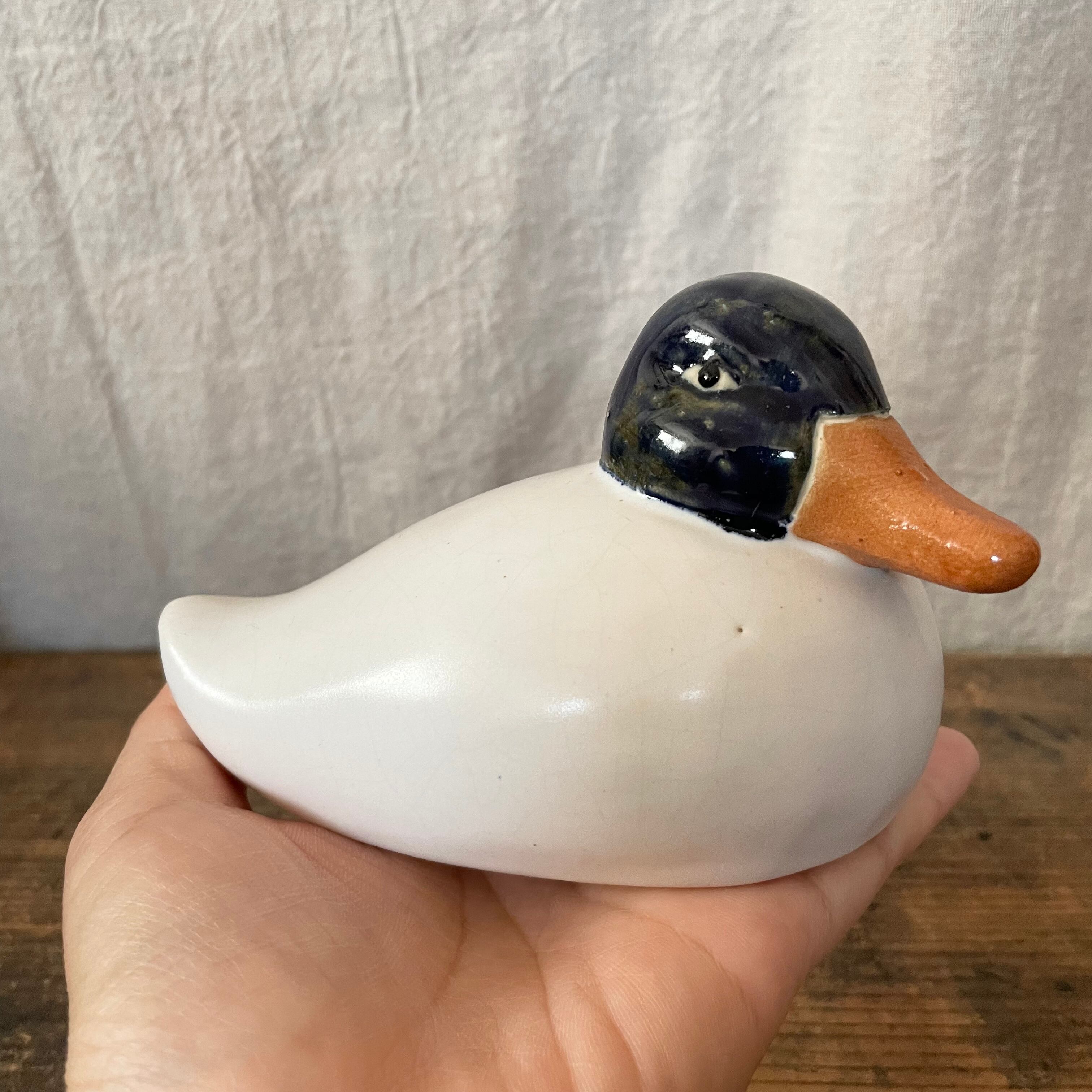 睨みがちなカモ