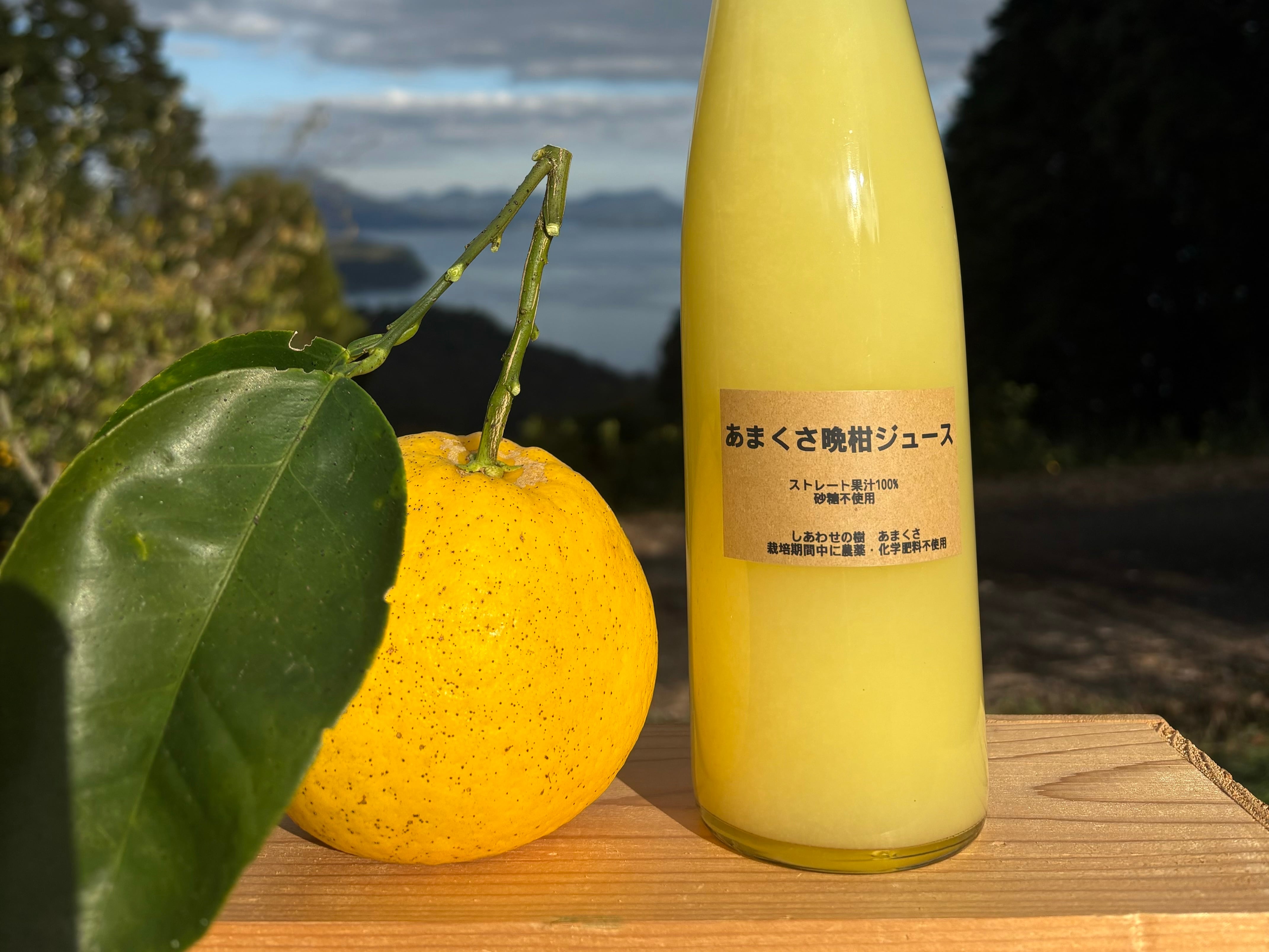 しあわせの樹 あまくさ