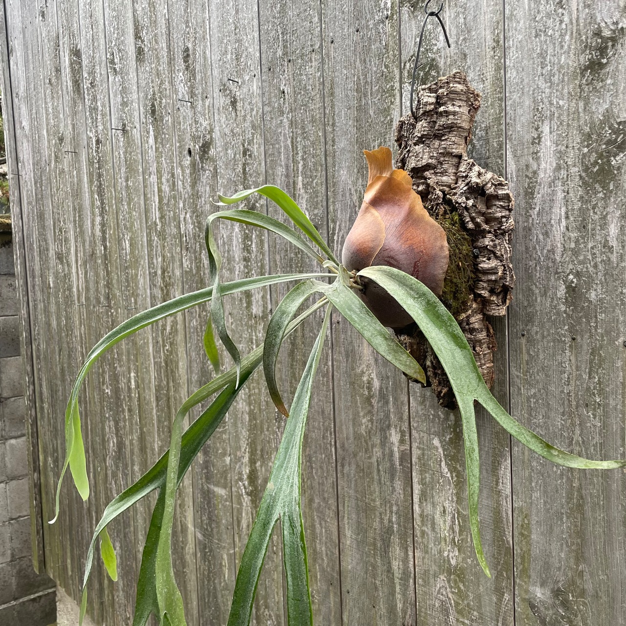 b601d080618a70f2f6bdcd2dad4eee  