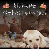 【送料無料】【北海道稚内産】【ペット用】非常食 エゾシカ肉 水煮100g×30パック