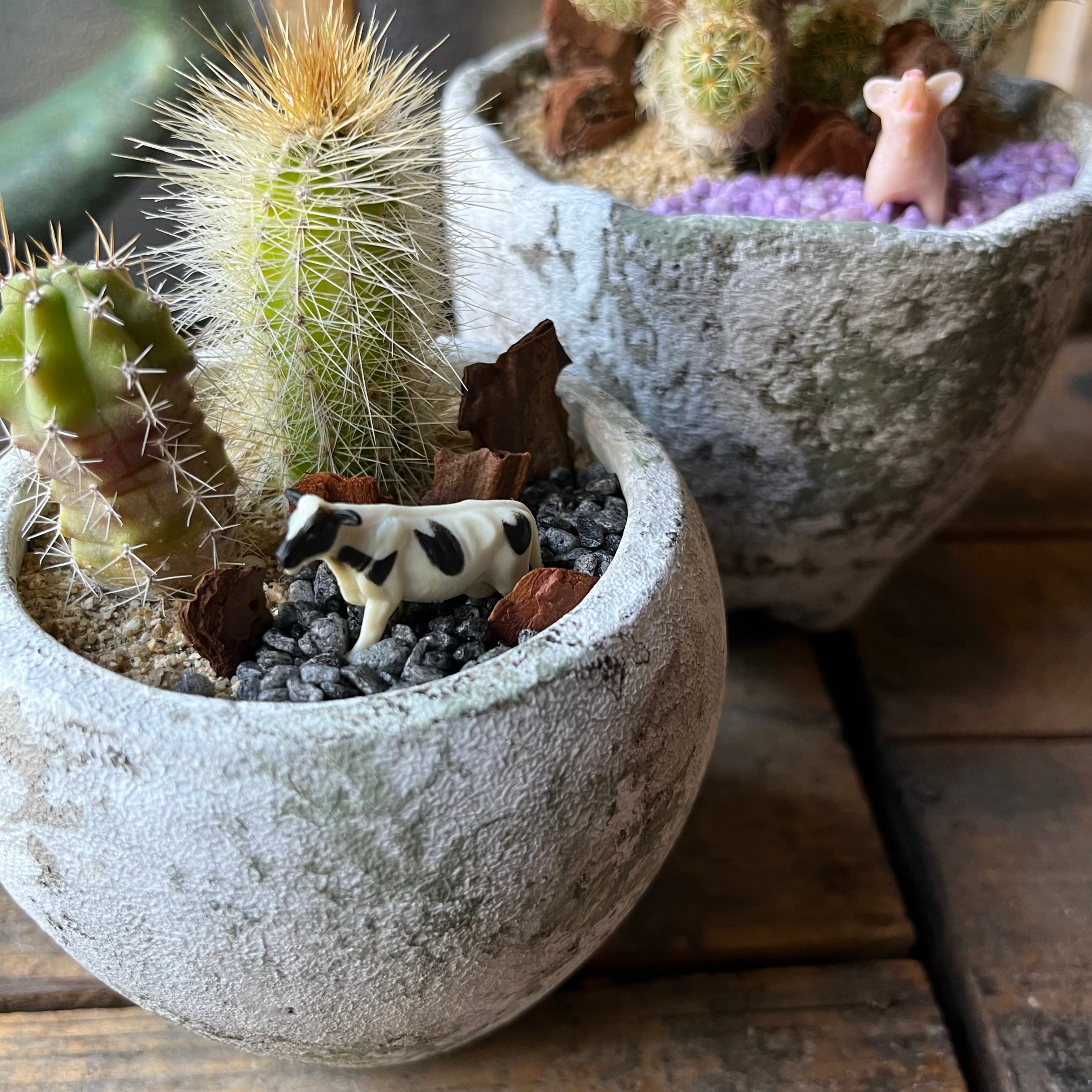 MINI 2鉢SET Pig&Cow | SABOTEN MISSILE