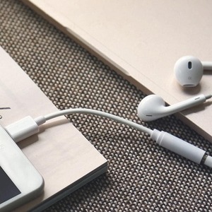 iPhone イヤホン 変換 アダプター 2点セット ライトニング 3.5MM USB-C ケーブル オーディオ タイプC 充電 DAC 通話 音楽