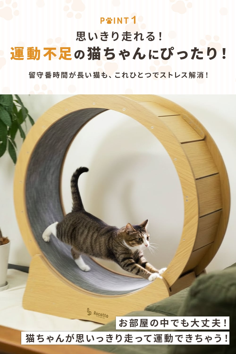 キャットホイール | MRG JAPAN Direct