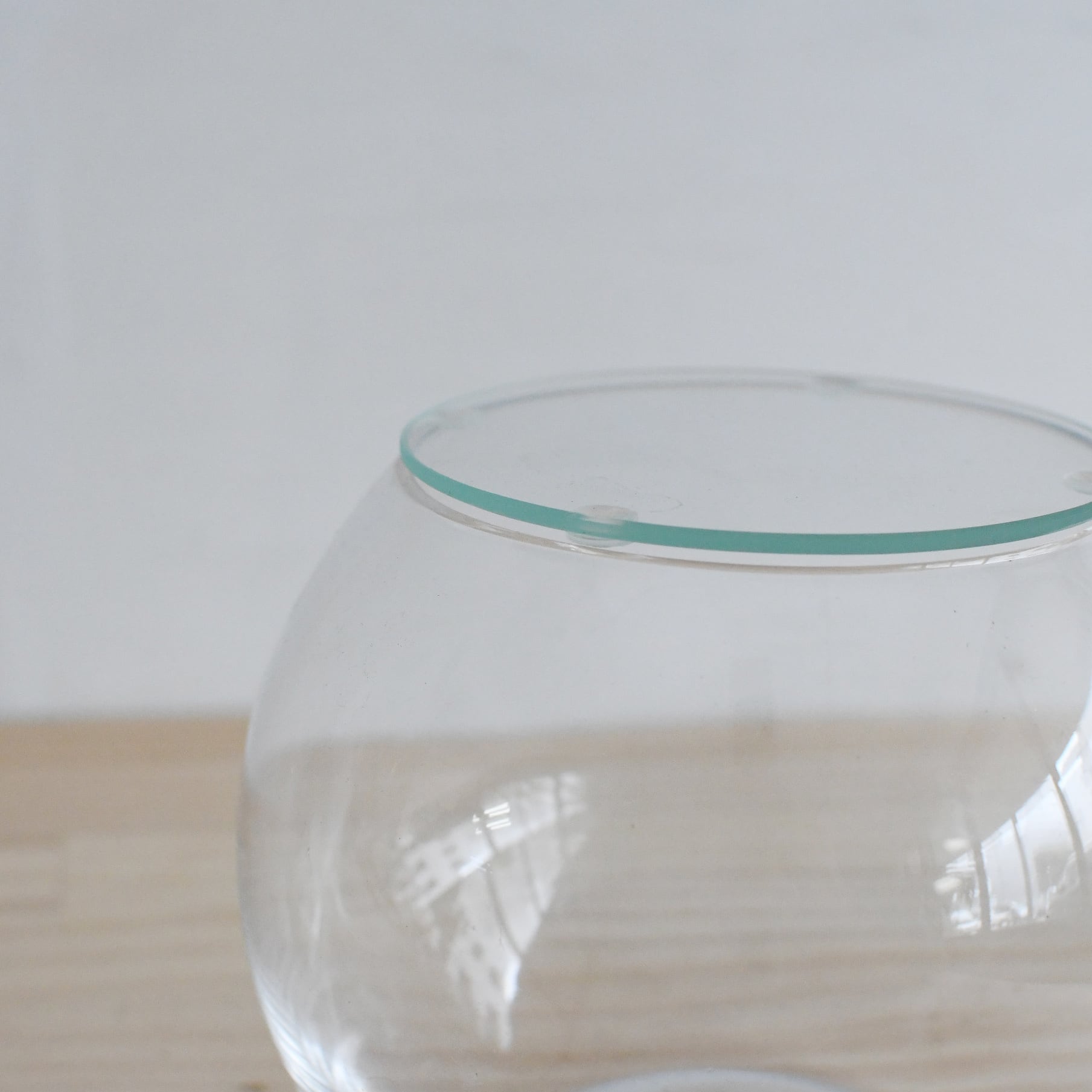 ガラス容器】インテリアボールL（口径100xh115mm） ◇適度な通気で