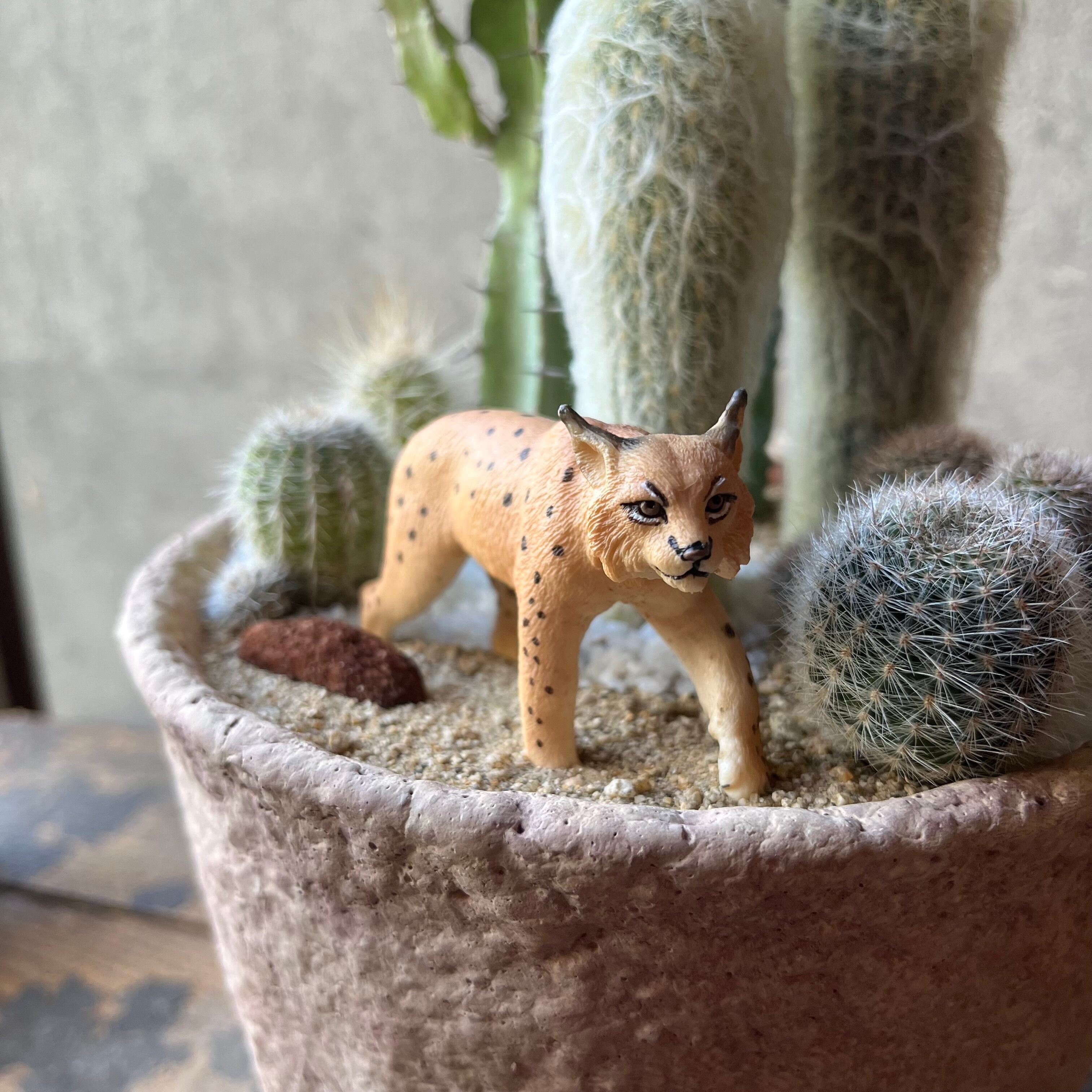 Wild Cat オオヤマネコ | SABOTEN MISSILE