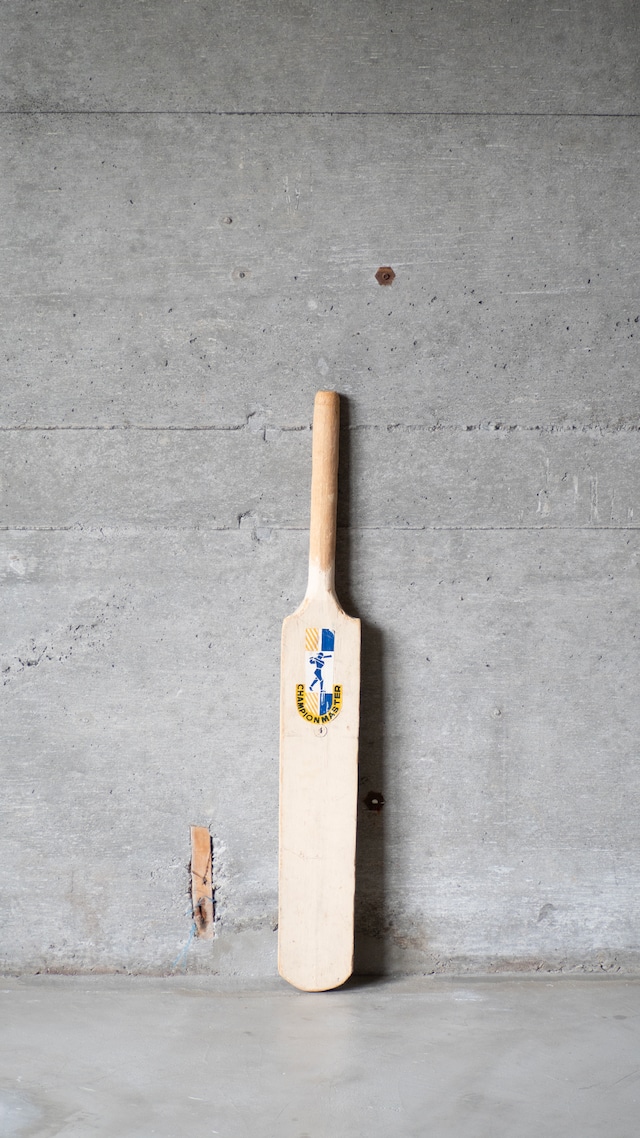 unknown vintage Cricket bat