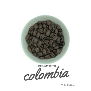 Colombia Villa Fatima Typica 200ｇ 中深煎り 珈琲豆 コロンビア