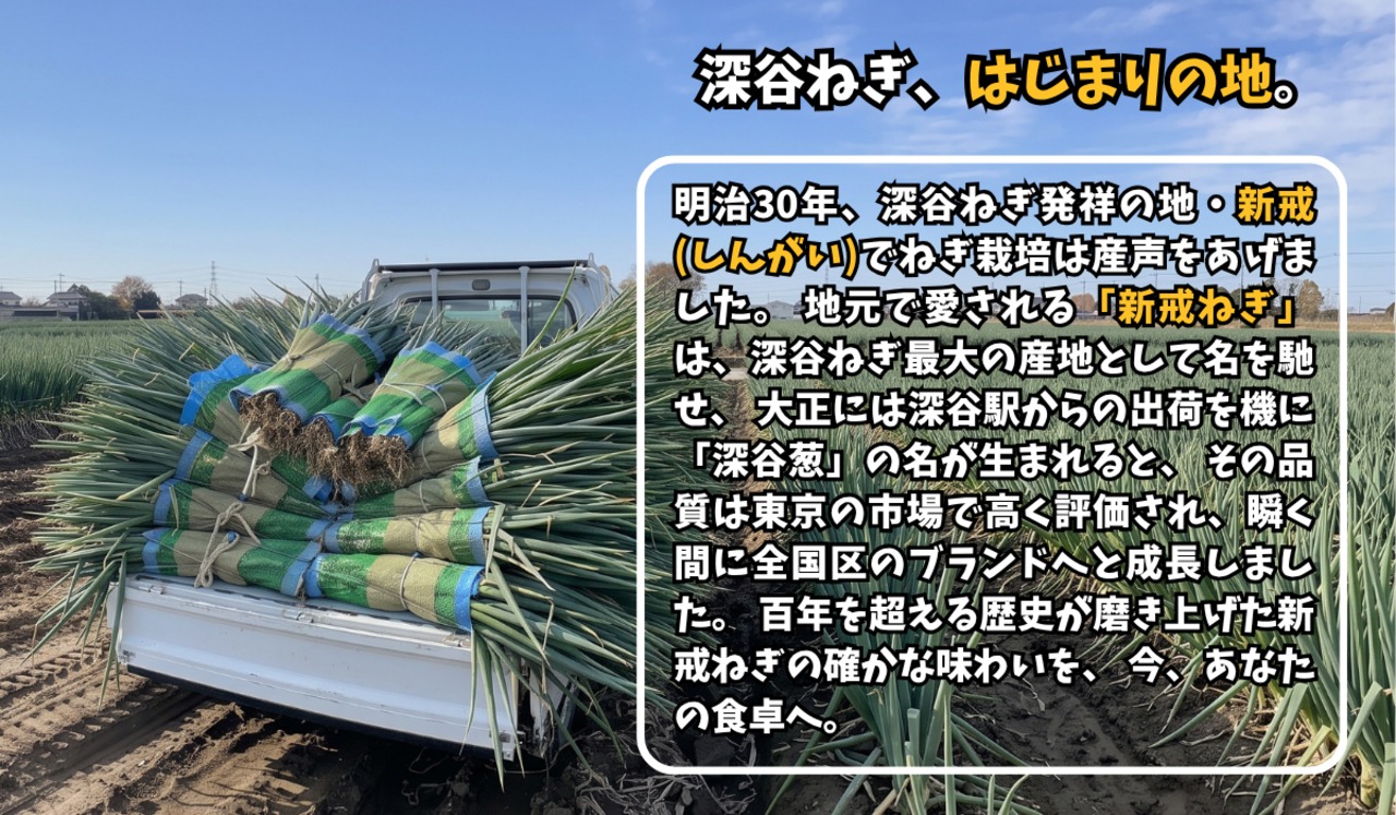 深谷蜜ねぎ2,5キロ