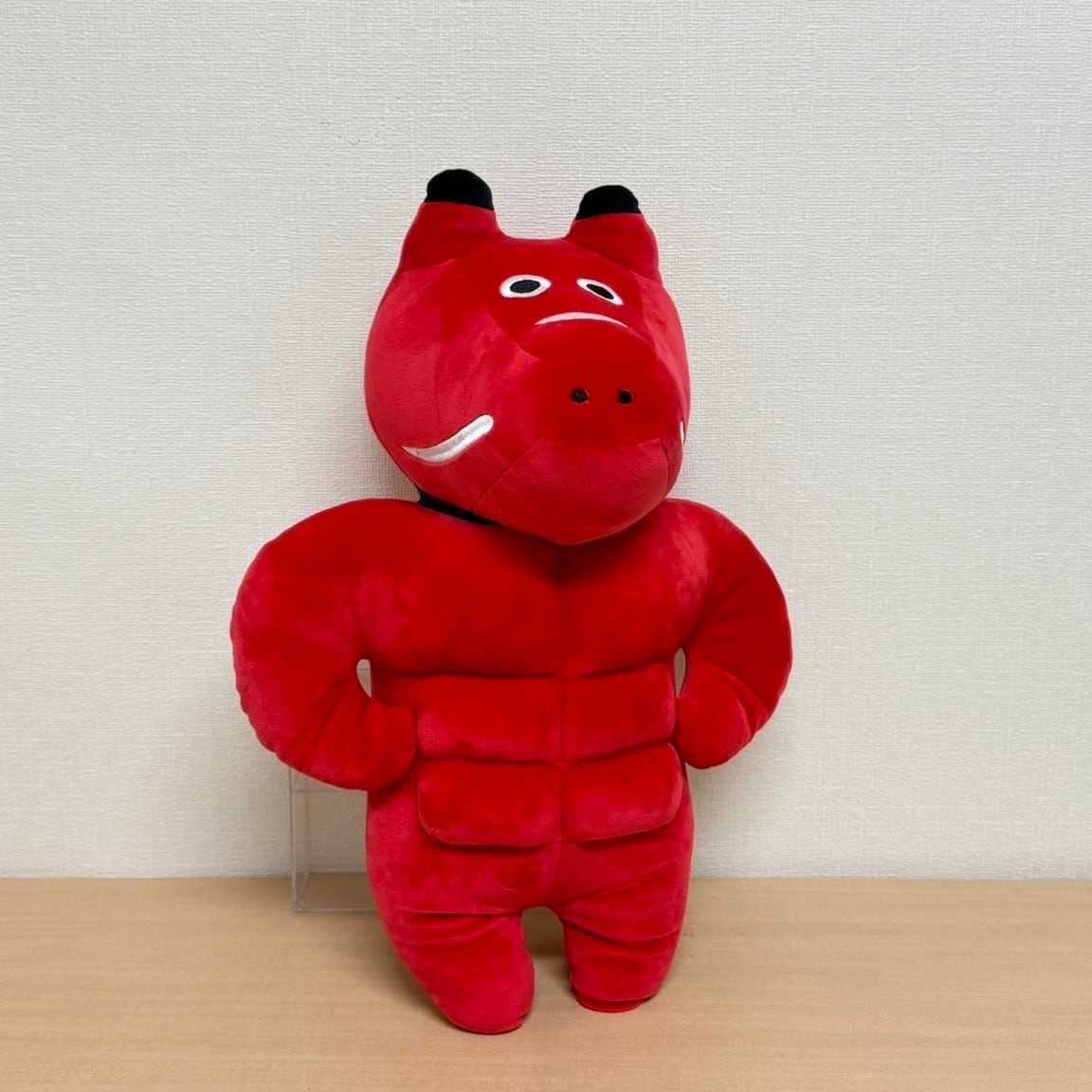 キティ岩手 平泉・金色堂靴下 | TORCH-Online Shop-