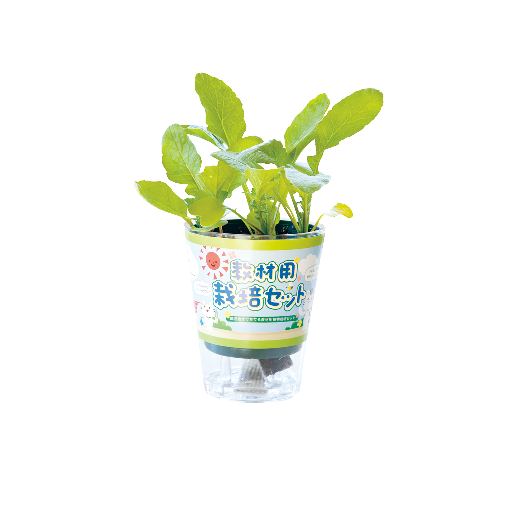 栽培キット オクテイン ウインカー 50R-00 1524 ヴィクトリー 純正 バイク 部品