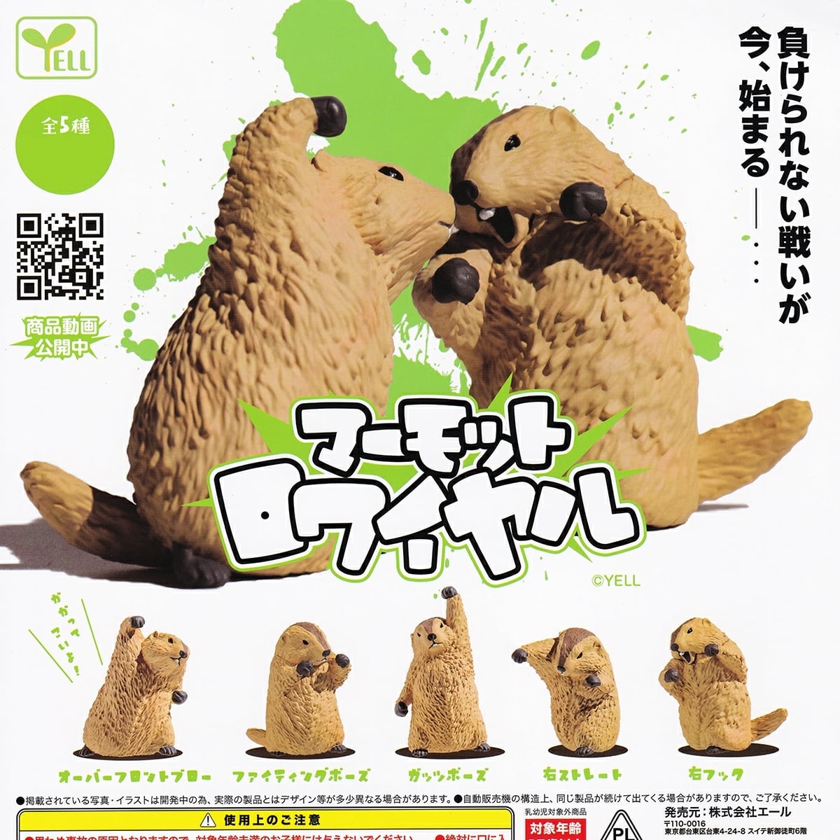 フルコンプ】 マーモットロワイヤル 【全5種セット＋DPディスプレイ