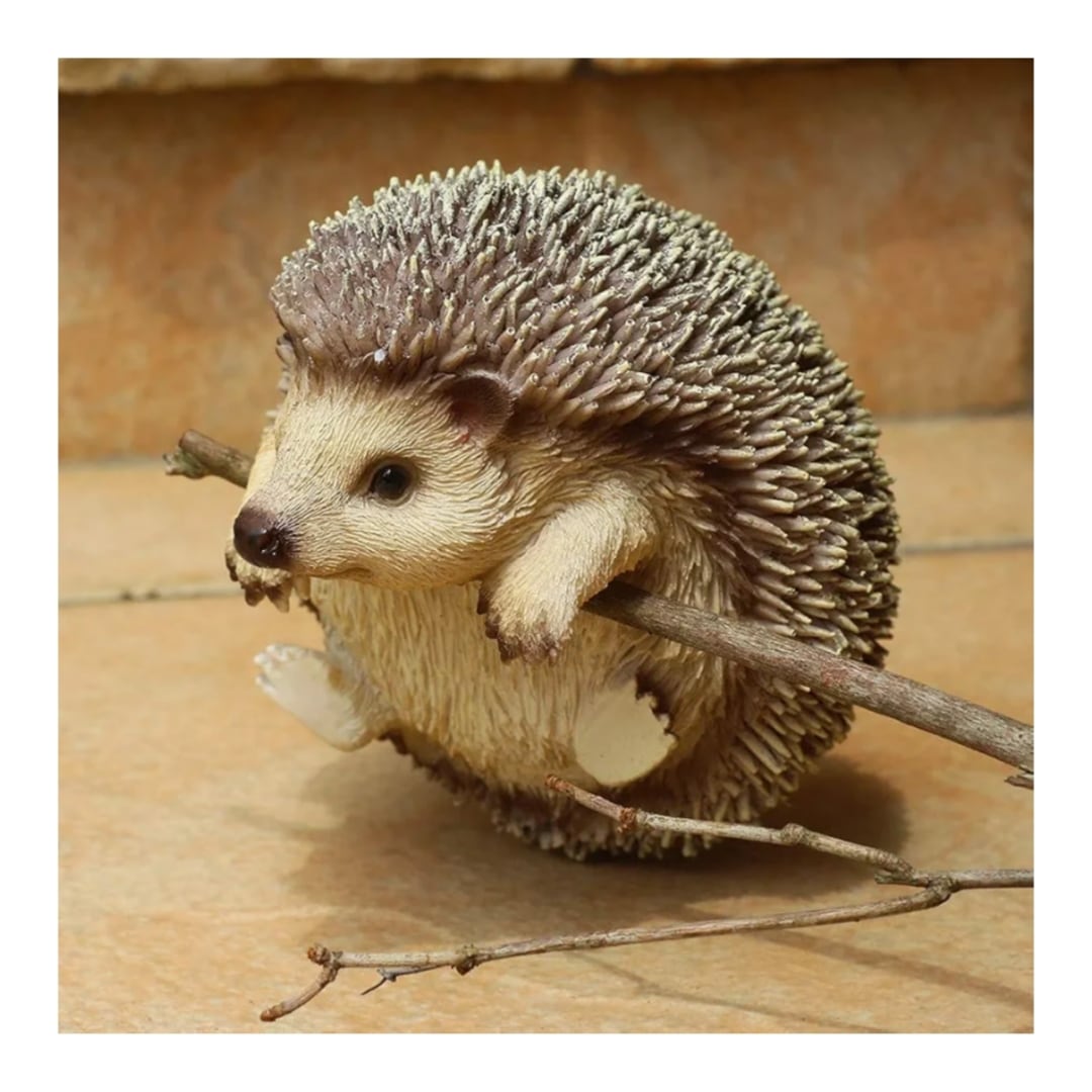 ハリネズミ b61ed246fcb337c2ef48957306e4d8