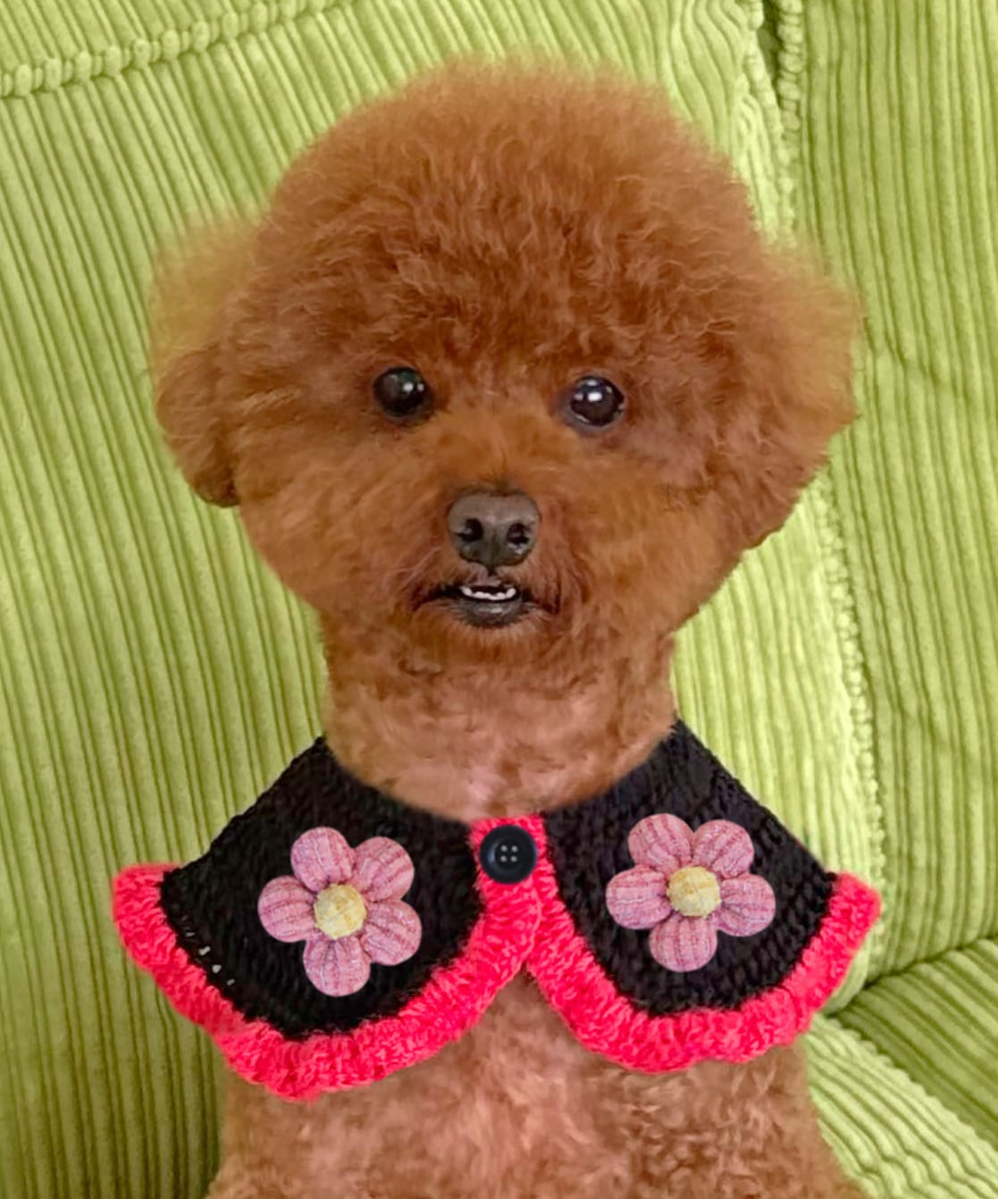 予約【Bam’studio】Mohair Tweed Flower PongPong Cape (Black)