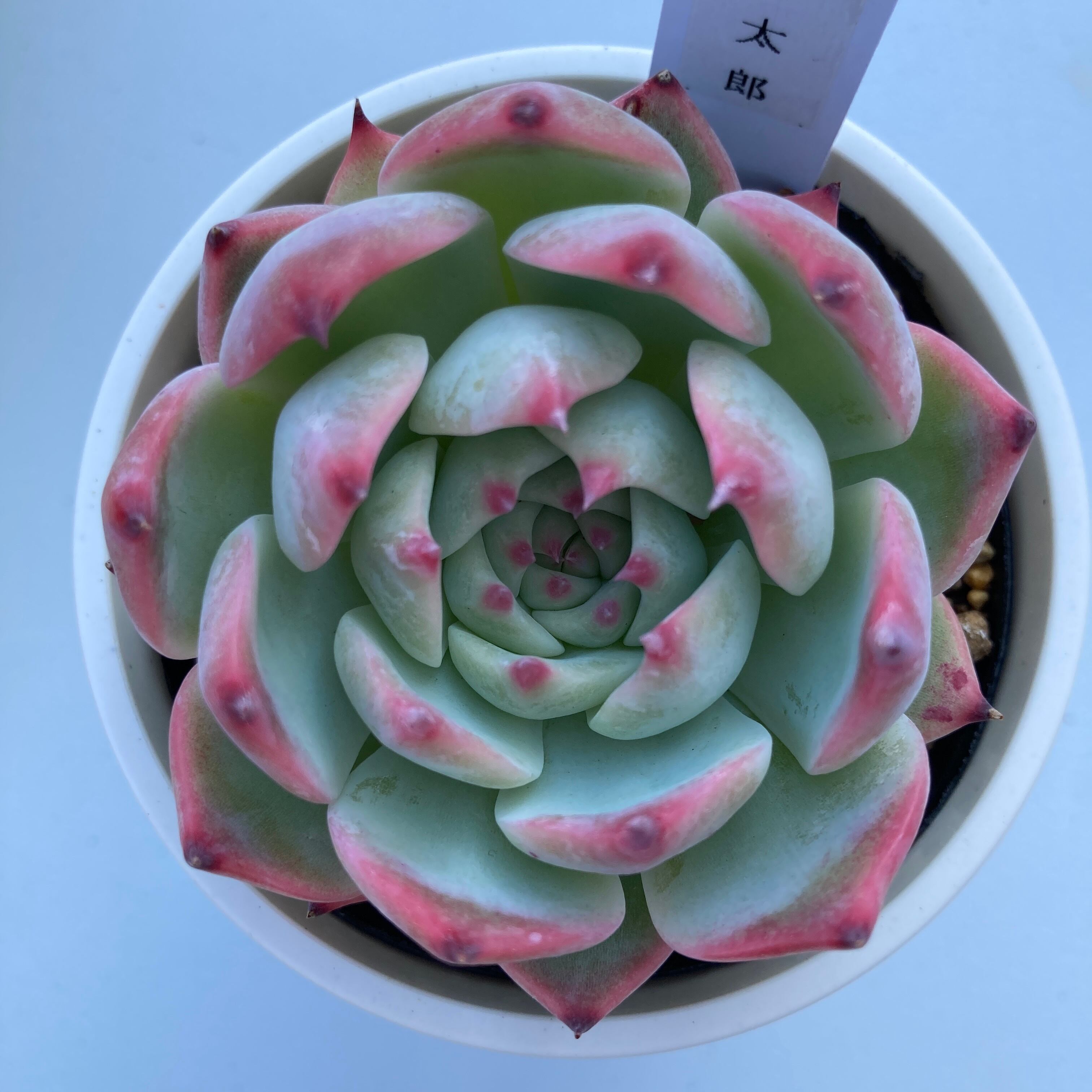 b622a12fa26a31b180b16c51b5de57