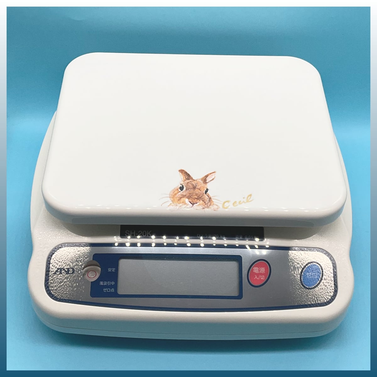 森のうさぎ₍ᐢ.ˬ.ᐢ₎ෆさん専用 スケール 森音限定 CECILさんのうさぎ付き | うさぎセレクトショップ森音
