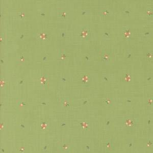 USAコットン Abloomアブルーム　リトルスプラウト/キューカンバー 幅約55cm×45cmカット modaモダ AB36